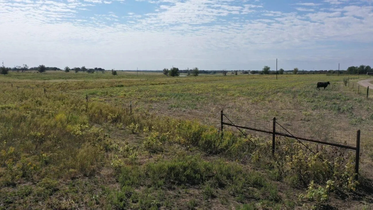 Unimproved Land For Sale in Mc Lennan County , TBD Tract 1 Battle Lake Road, Mart, Texas 76664, 0, 0, Garage spaces, 0 Sqft, built in 0, Price $320,900, mls#21339595, Real Estate Agent in Mart, Homes For Sale in Mc Lennan county, Homes For Sale in Mart, Realtor in Mart Texas, Real Estate Brokerage Independent Realty Texas, Luminita Cordes Realtor