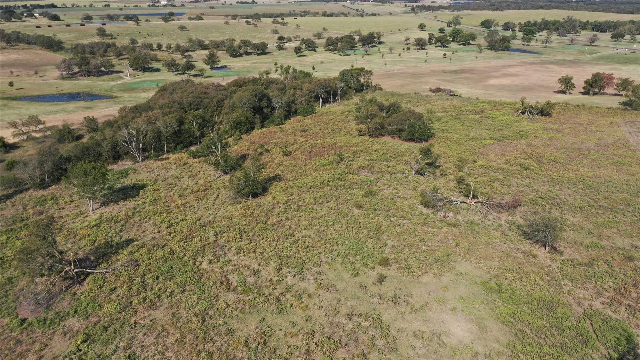 Unimproved Land For Sale in Mc Lennan County , TBD Tract 1 Battle Lake Road, Mart, Texas 76664, 0, 0, Garage spaces, 0 Sqft, built in 0, Price $320,900, mls#21339595, Real Estate Agent in Mart, Homes For Sale in Mc Lennan county, Homes For Sale in Mart, Realtor in Mart Texas, Real Estate Brokerage Independent Realty Texas, Luminita Cordes Realtor