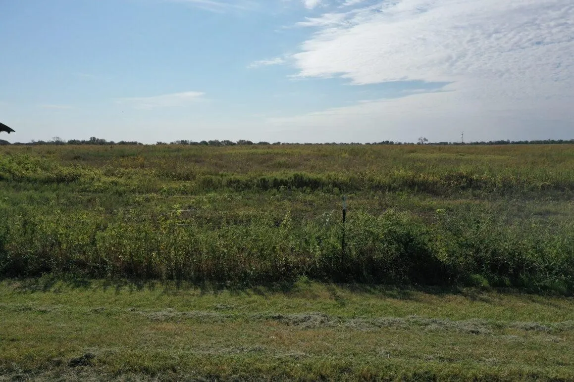 Unimproved Land For Sale in Mc Lennan County , TBD Tract 1 Battle Lake Road, Mart, Texas 76664, 0, 0, Garage spaces, 0 Sqft, built in 0, Price $320,900, mls#21339595, Real Estate Agent in Mart, Homes For Sale in Mc Lennan county, Homes For Sale in Mart, Realtor in Mart Texas, Real Estate Brokerage Independent Realty Texas, Luminita Cordes Realtor