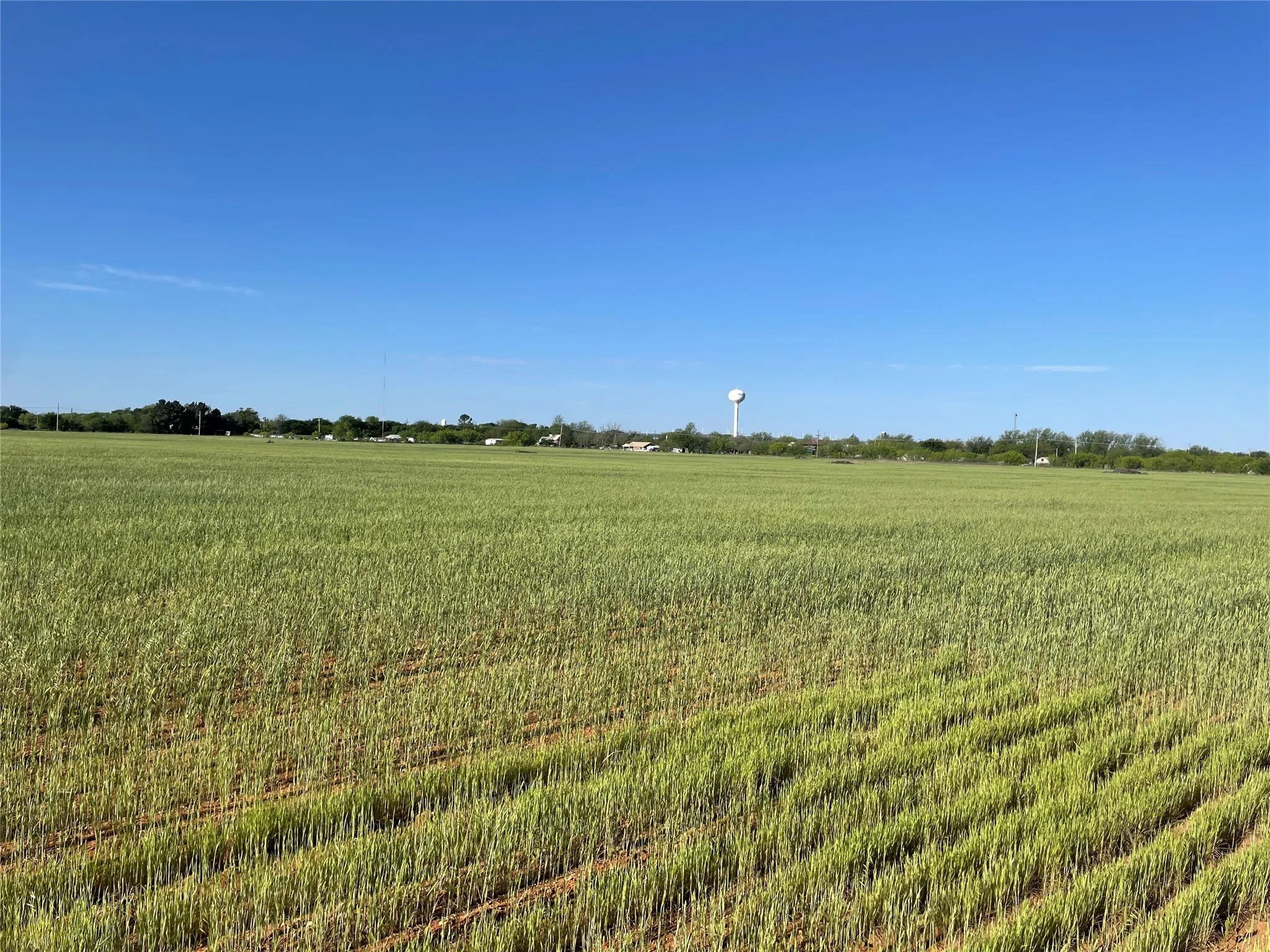 Unimproved Land For Sale in Taylor County , TBD I-20 Access Road W, Merkel, Texas 79536, 0, 0, Garage spaces, 0 Sqft, built in 0, Price $1,199,000, mls#21342399, Real Estate Agent in Merkel, Homes For Sale in Taylor county, Homes For Sale in Merkel, Realtor in Merkel Texas, Real Estate Brokerage Independent Realty Texas, Luminita Cordes Realtor