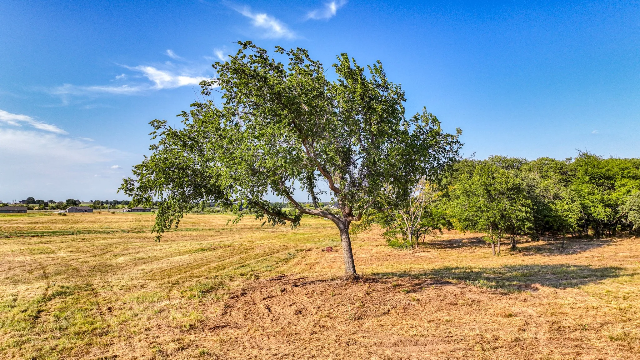 Unimproved Land For Sale in Parker County , Lot 12 Three Quarter Loop, Poolville, Texas 76487, 0, 0, Garage spaces, 0 Sqft, built in 0, Price $110,000, mls#21343460, Real Estate Agent in Poolville, Homes For Sale in Parker county, Homes For Sale in Poolville, Realtor in Poolville Texas, Real Estate Brokerage Independent Realty Texas, Luminita Cordes Realtor