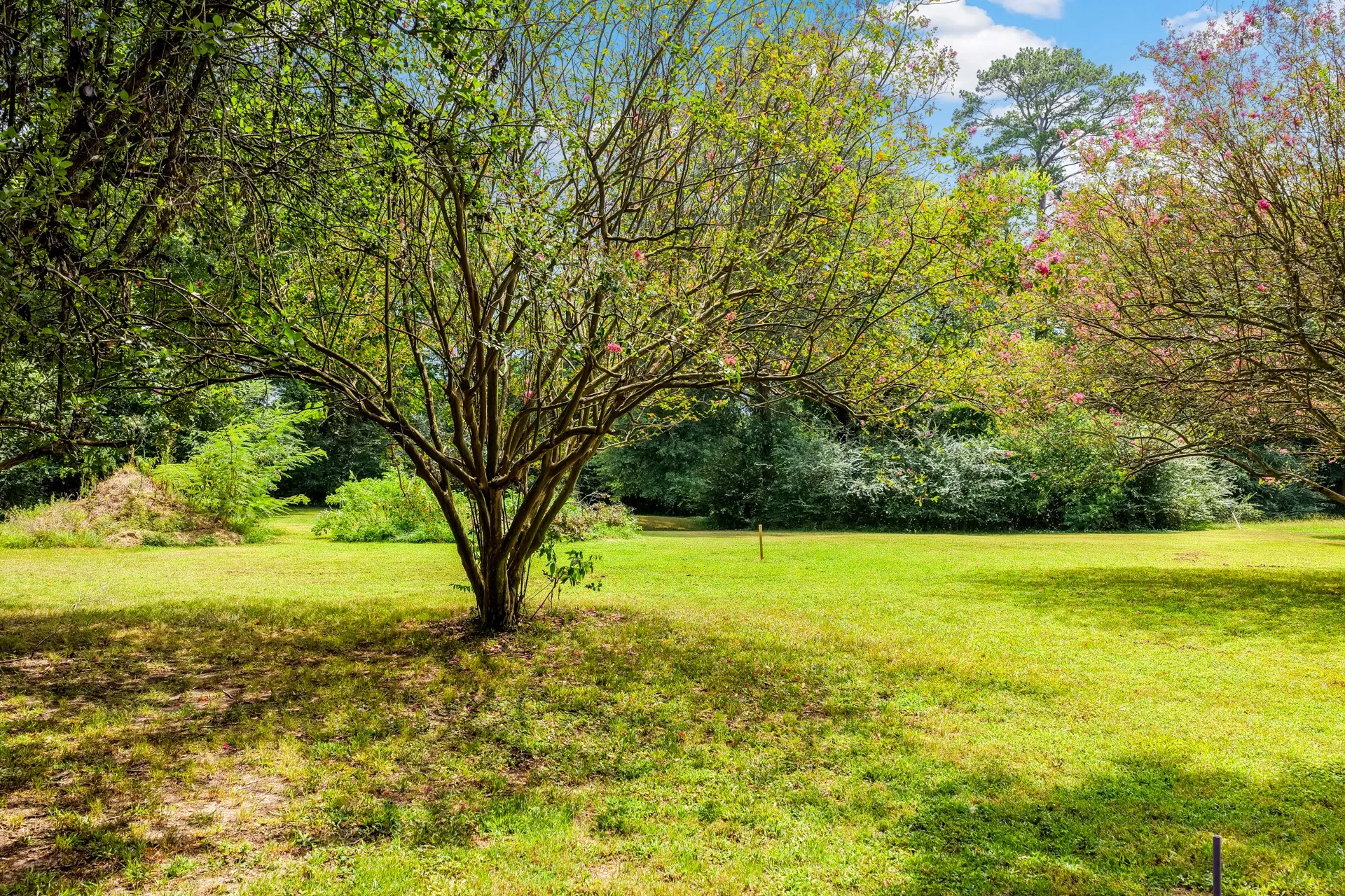 Single Family Residence For Sale in Camp County , 3259 Fm 557, Pittsburg, Texas 75686, 3 Bedrooms, 2 Bathrooms, Garage spaces, 1,456 Sqft, built in 1964, Price $280,000, mls#21342240, Real Estate Agent in Pittsburg, Homes For Sale in Camp county, Homes For Sale in Pittsburg, Realtor in Pittsburg Texas, Real Estate Brokerage Independent Realty Texas, Luminita Cordes Realtor