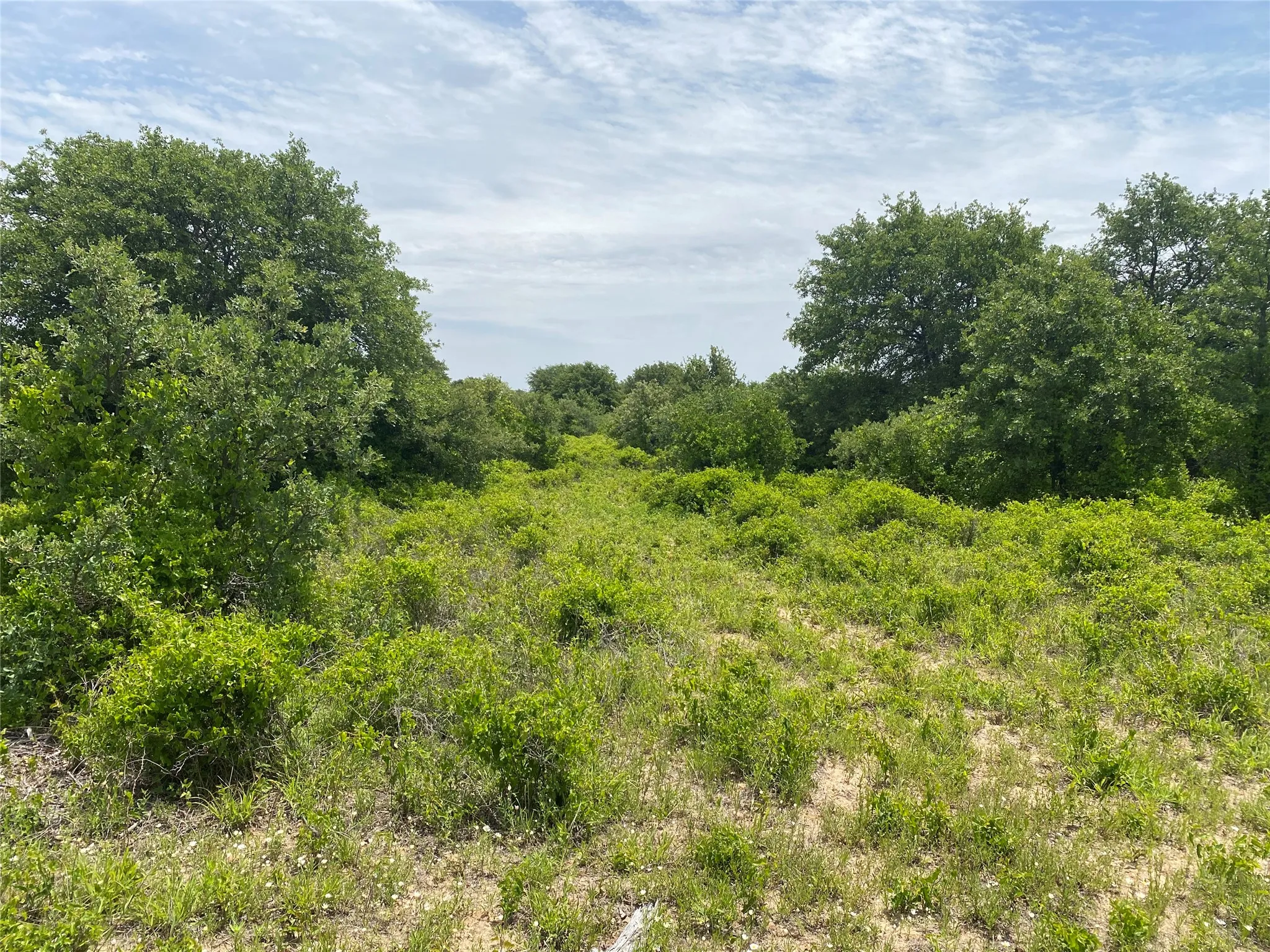 Ranch For Sale in Callahan County , 997 Private Road 4691, Baird, Texas 79504, 0, 0, Garage spaces, 0 Sqft, built in 0, mls#21343549, Real Estate Agent in Baird, Homes For Sale in Callahan county, Homes For Sale in Baird, Realtor in Baird Texas, Real Estate Brokerage Independent Realty Texas, Luminita Cordes Realtor