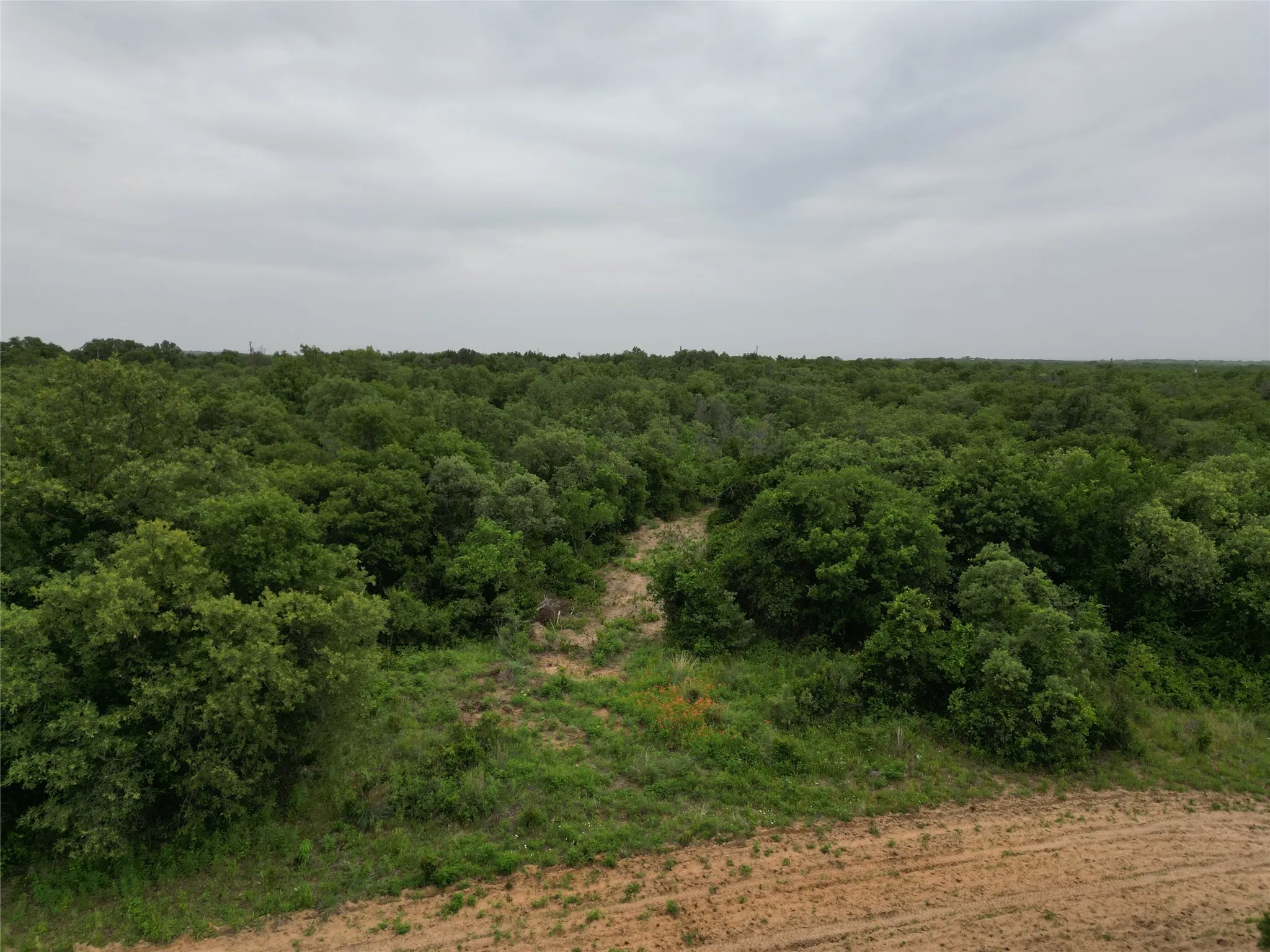 Ranch For Sale in Callahan County , 997 Private Road 4691, Baird, Texas 79504, 0, 0, Garage spaces, 0 Sqft, built in 0, mls#21343549, Real Estate Agent in Baird, Homes For Sale in Callahan county, Homes For Sale in Baird, Realtor in Baird Texas, Real Estate Brokerage Independent Realty Texas, Luminita Cordes Realtor