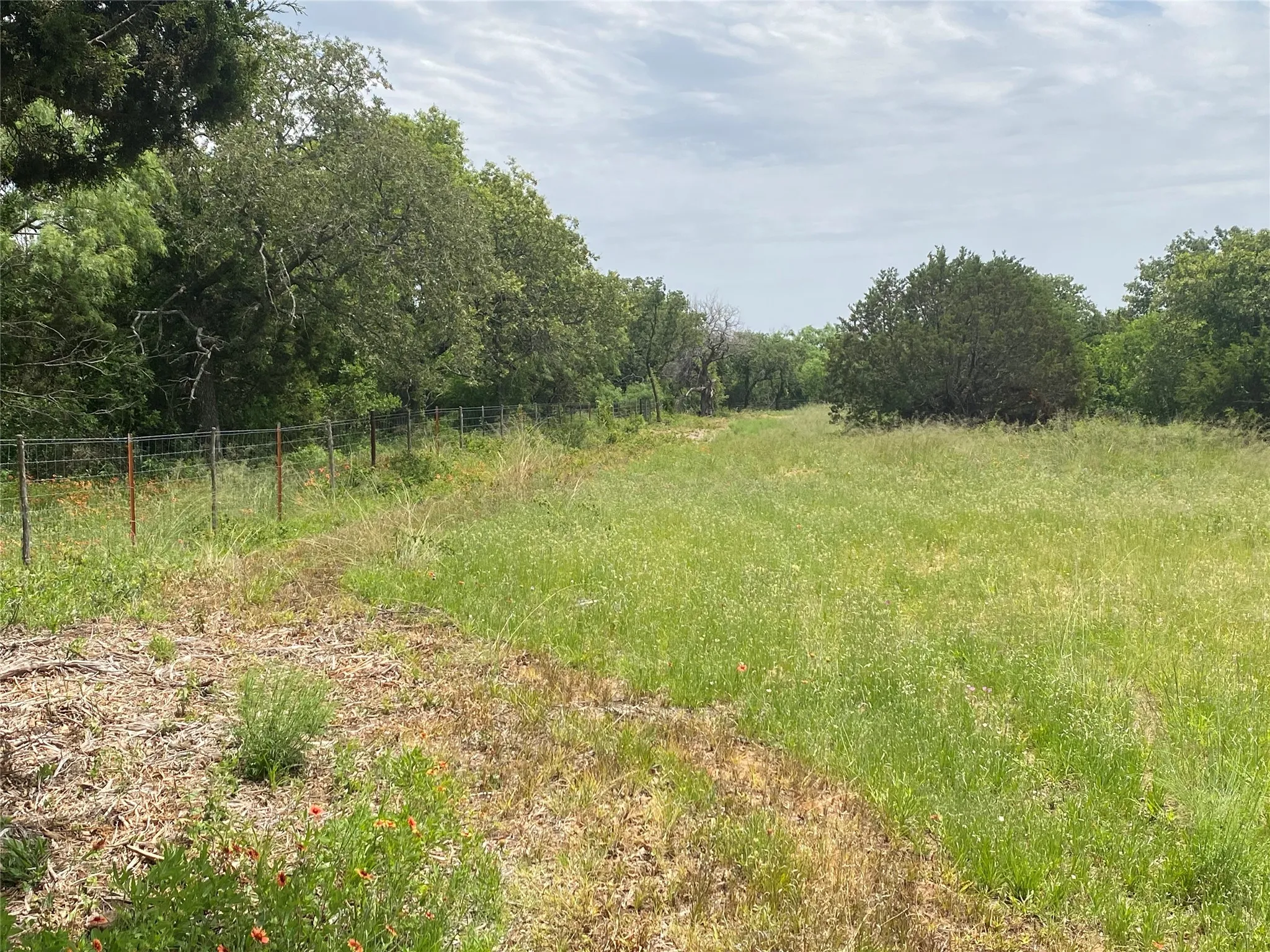 Ranch For Sale in Callahan County , 997 Private Road 4691, Baird, Texas 79504, 0, 0, Garage spaces, 0 Sqft, built in 0, mls#21343549, Real Estate Agent in Baird, Homes For Sale in Callahan county, Homes For Sale in Baird, Realtor in Baird Texas, Real Estate Brokerage Independent Realty Texas, Luminita Cordes Realtor