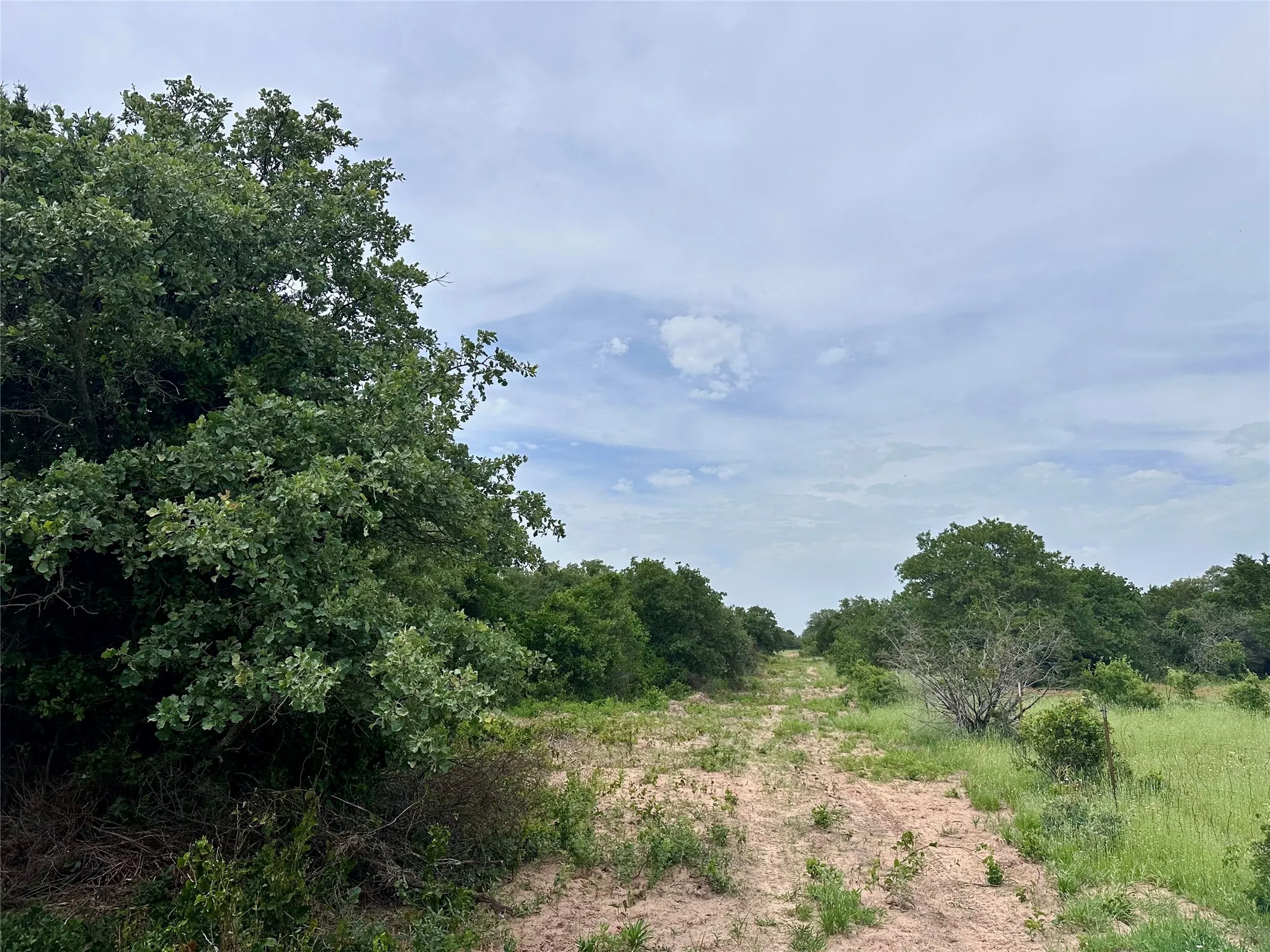 Ranch For Sale in Callahan County , 997 Private Road 4691, Baird, Texas 79504, 0, 0, Garage spaces, 0 Sqft, built in 0, mls#21343549, Real Estate Agent in Baird, Homes For Sale in Callahan county, Homes For Sale in Baird, Realtor in Baird Texas, Real Estate Brokerage Independent Realty Texas, Luminita Cordes Realtor