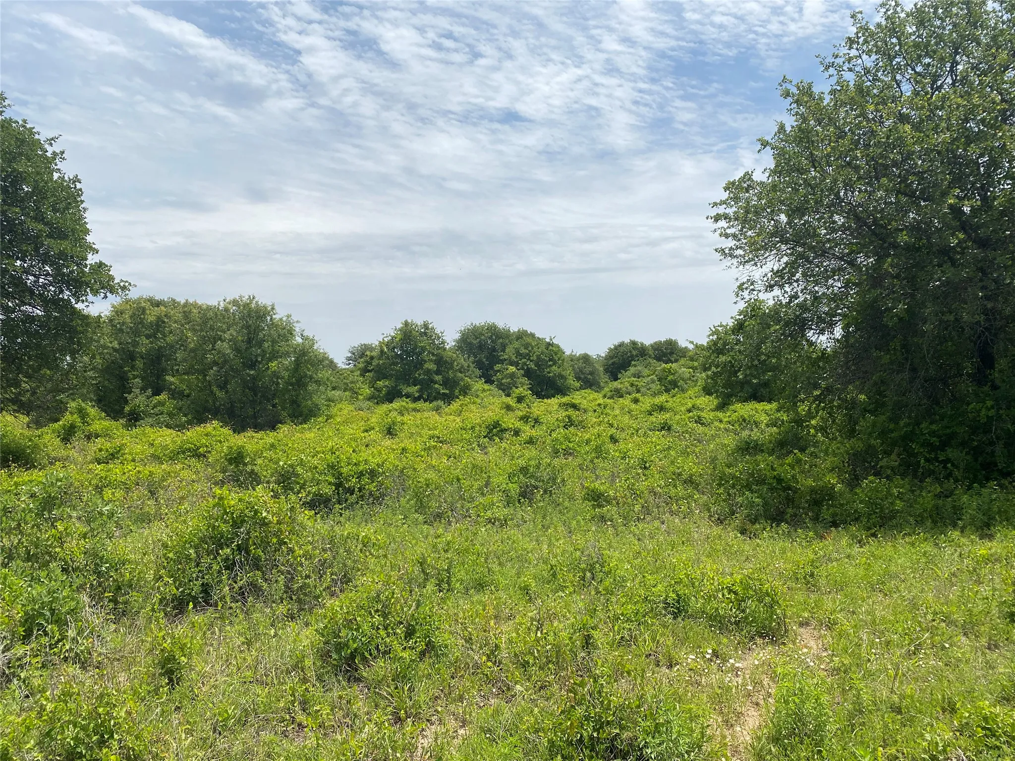 Ranch For Sale in Callahan County , 997 Private Road 4691, Baird, Texas 79504, 0, 0, Garage spaces, 0 Sqft, built in 0, mls#21343549, Real Estate Agent in Baird, Homes For Sale in Callahan county, Homes For Sale in Baird, Realtor in Baird Texas, Real Estate Brokerage Independent Realty Texas, Luminita Cordes Realtor