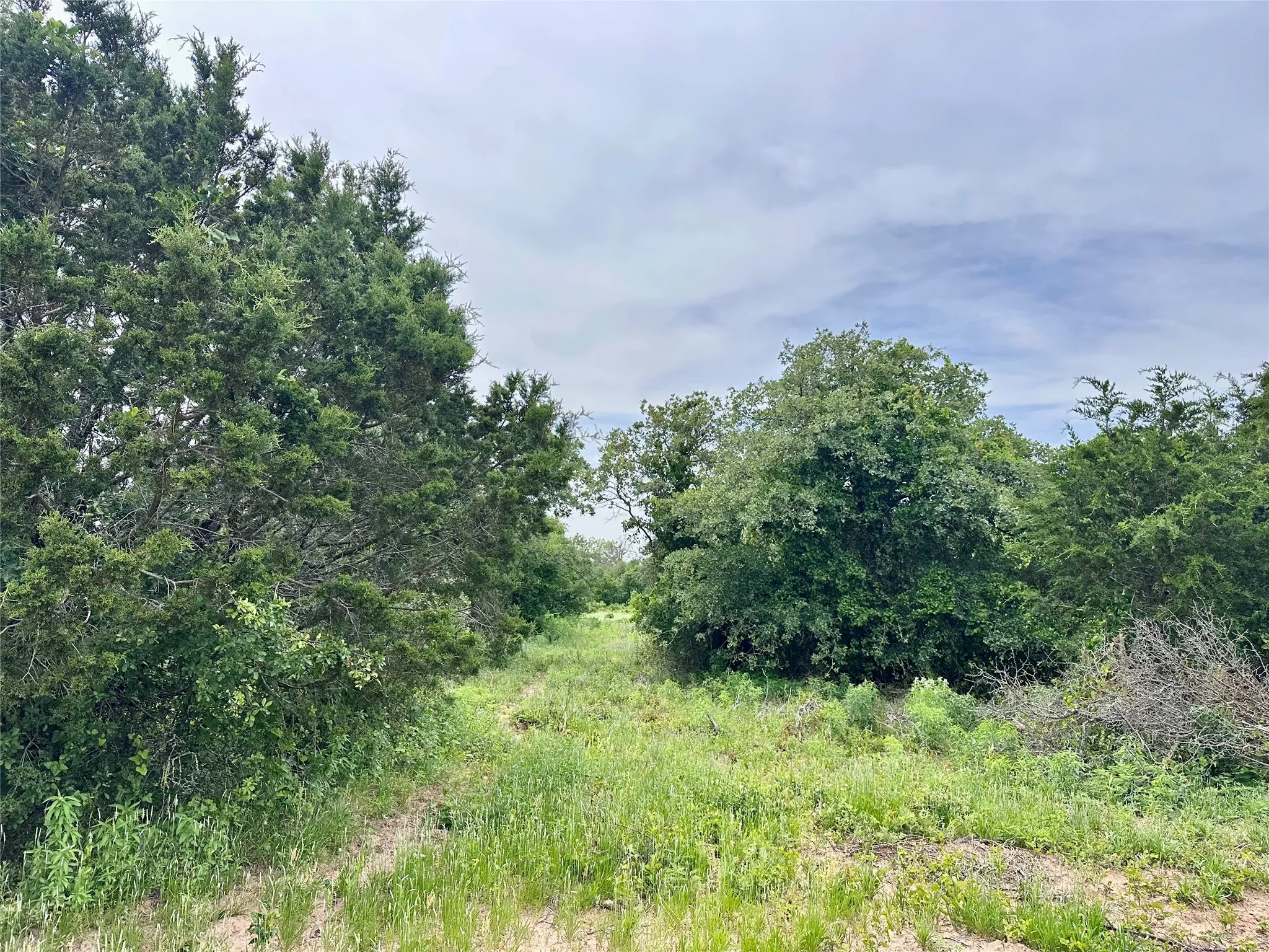 Ranch For Sale in Callahan County , 997 Private Road 4691, Baird, Texas 79504, 0, 0, Garage spaces, 0 Sqft, built in 0, mls#21343549, Real Estate Agent in Baird, Homes For Sale in Callahan county, Homes For Sale in Baird, Realtor in Baird Texas, Real Estate Brokerage Independent Realty Texas, Luminita Cordes Realtor