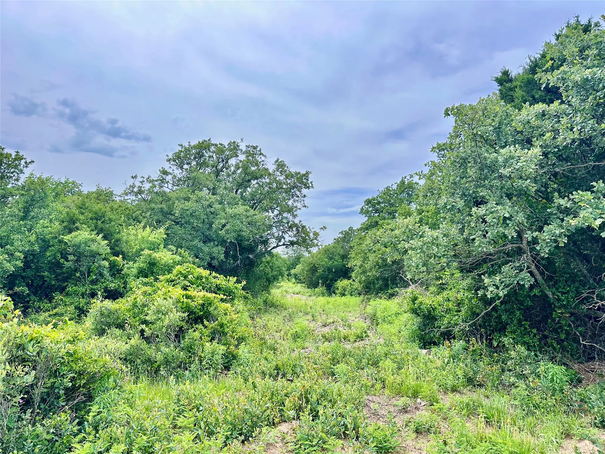 Ranch For Sale in Callahan County , 997 Private Road 4691, Baird, Texas 79504, 0, 0, Garage spaces, 0 Sqft, built in 0, mls#21343549, Real Estate Agent in Baird, Homes For Sale in Callahan county, Homes For Sale in Baird, Realtor in Baird Texas, Real Estate Brokerage Independent Realty Texas, Luminita Cordes Realtor