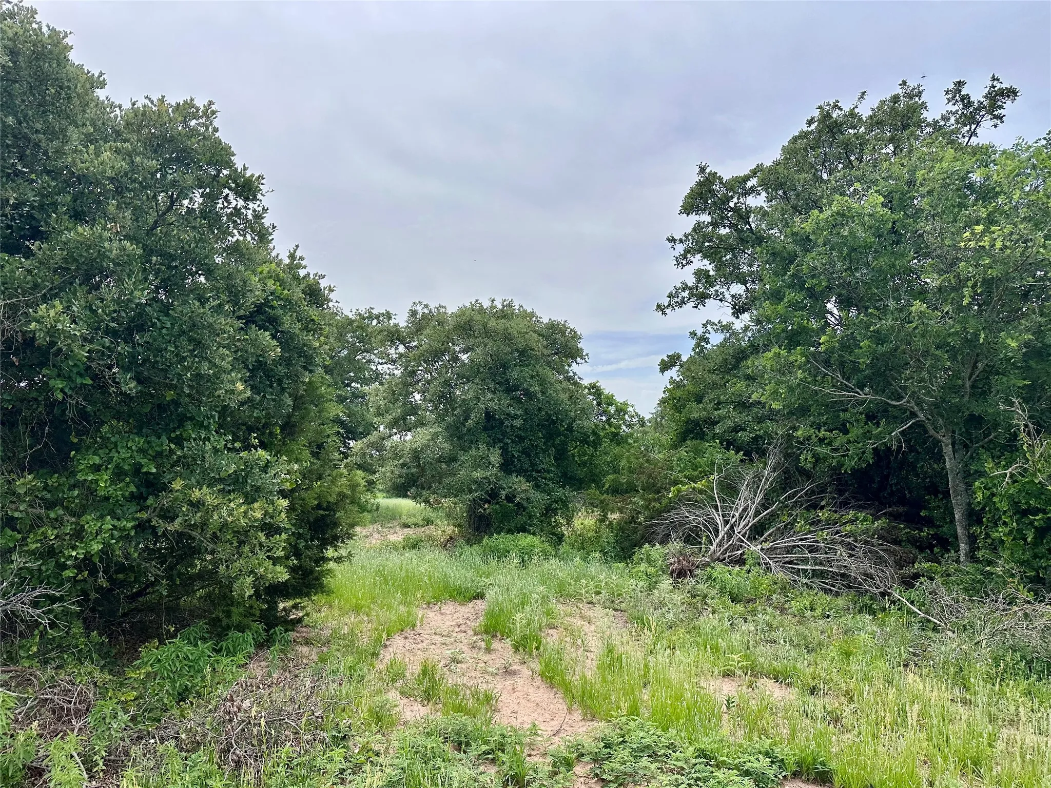 Ranch For Sale in Callahan County , 997 Private Road 4691, Baird, Texas 79504, 0, 0, Garage spaces, 0 Sqft, built in 0, mls#21343549, Real Estate Agent in Baird, Homes For Sale in Callahan county, Homes For Sale in Baird, Realtor in Baird Texas, Real Estate Brokerage Independent Realty Texas, Luminita Cordes Realtor