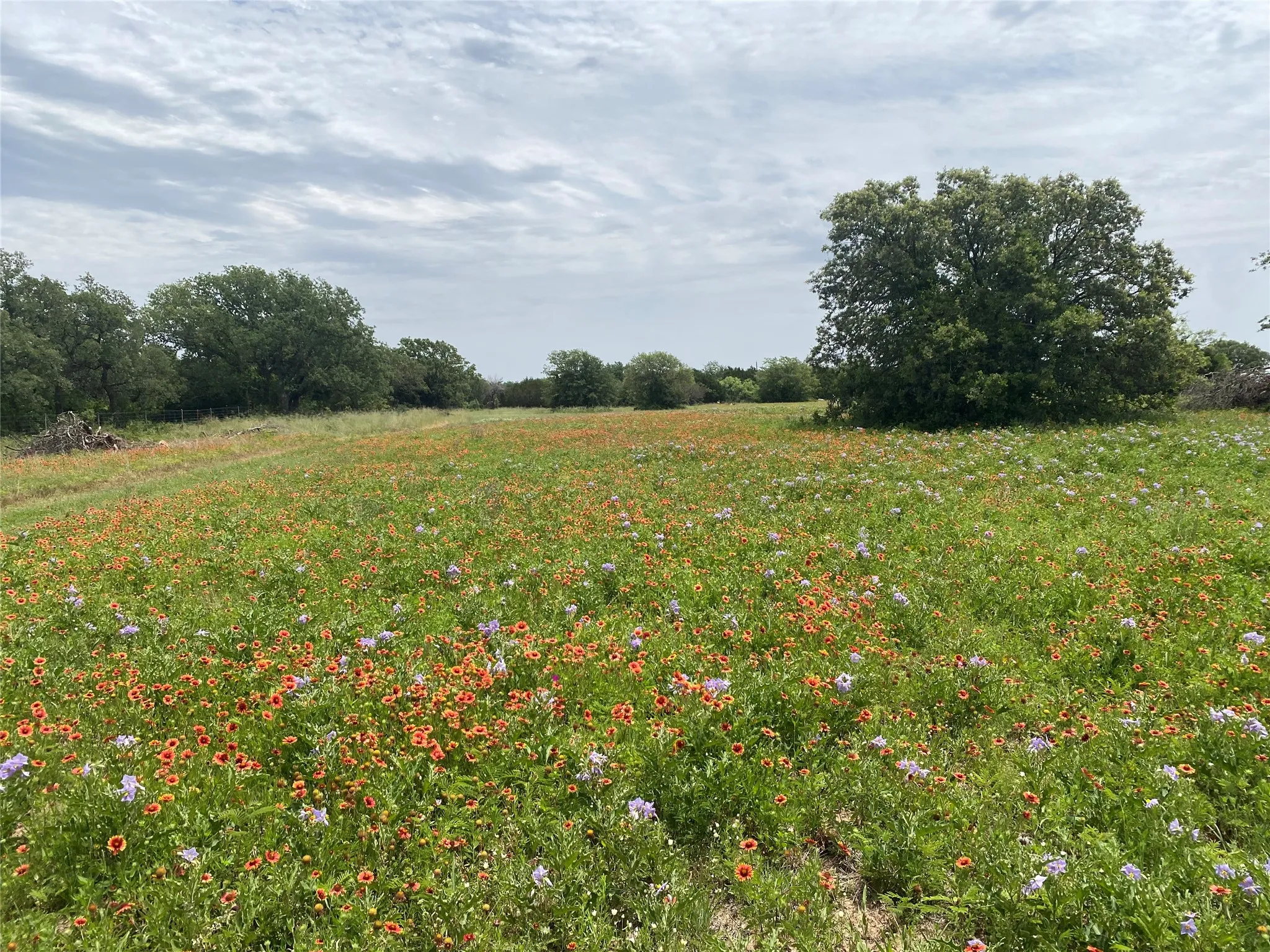 Ranch For Sale in Callahan County , 997 Private Road 4691, Baird, Texas 79504, 0, 0, Garage spaces, 0 Sqft, built in 0, mls#21343549, Real Estate Agent in Baird, Homes For Sale in Callahan county, Homes For Sale in Baird, Realtor in Baird Texas, Real Estate Brokerage Independent Realty Texas, Luminita Cordes Realtor