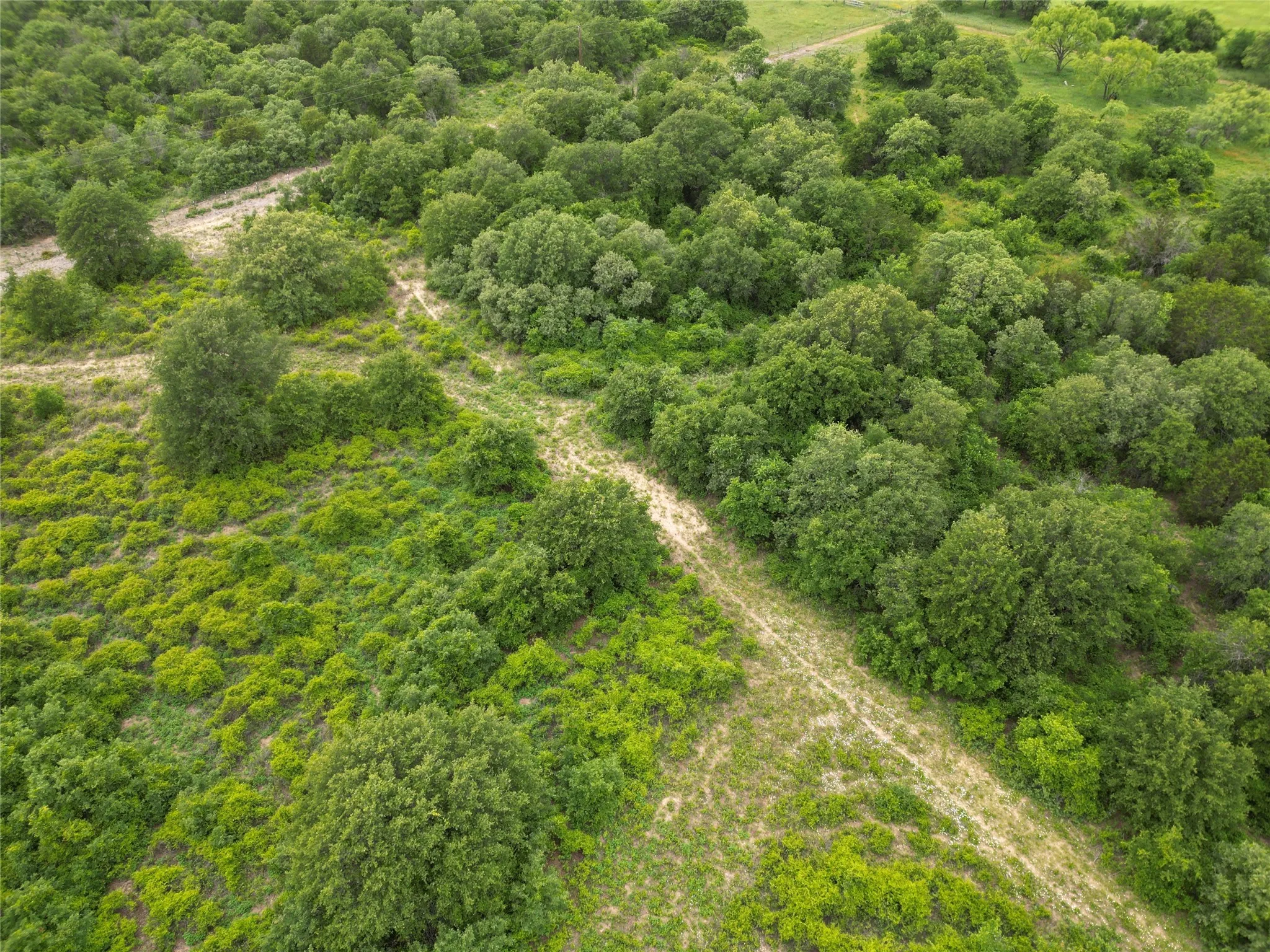 Ranch For Sale in Callahan County , 997 Private Road 4691, Baird, Texas 79504, 0, 0, Garage spaces, 0 Sqft, built in 0, mls#21343549, Real Estate Agent in Baird, Homes For Sale in Callahan county, Homes For Sale in Baird, Realtor in Baird Texas, Real Estate Brokerage Independent Realty Texas, Luminita Cordes Realtor