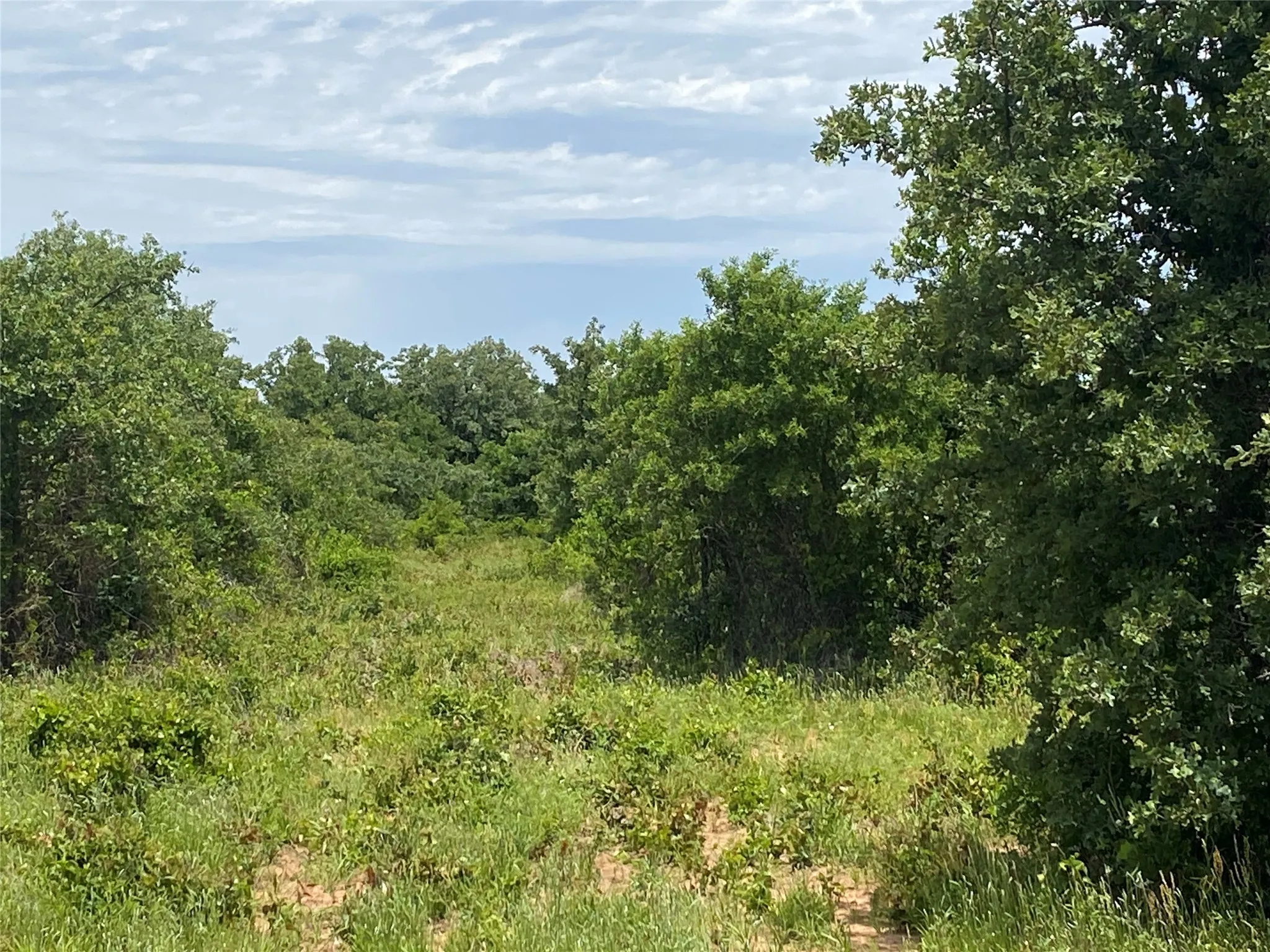 Ranch For Sale in Callahan County , 997 Private Road 4691, Baird, Texas 79504, 0, 0, Garage spaces, 0 Sqft, built in 0, mls#21343549, Real Estate Agent in Baird, Homes For Sale in Callahan county, Homes For Sale in Baird, Realtor in Baird Texas, Real Estate Brokerage Independent Realty Texas, Luminita Cordes Realtor