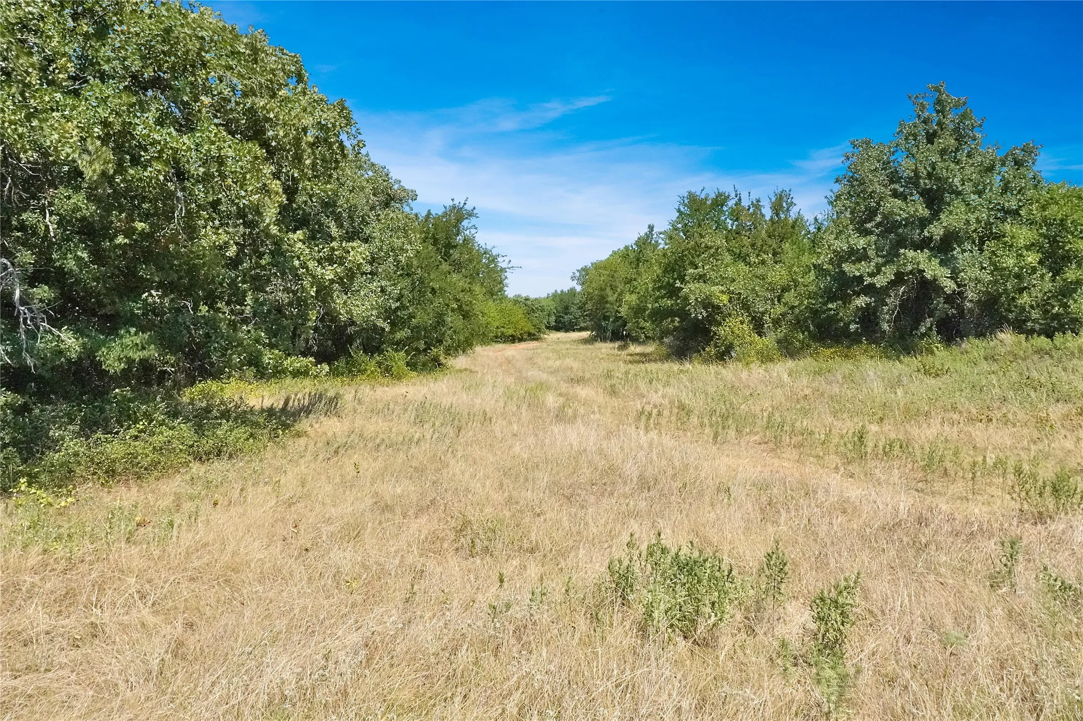 Ranch For Sale in Jack County , 6551 Crooked Creek Road, Bowie, Texas 76230, 0, 0, Garage spaces, 0 Sqft, built in 1948, Price $1,950,000, mls#21343525, Real Estate Agent in Bowie, Homes For Sale in Jack county, Homes For Sale in Bowie, Realtor in Bowie Texas, Real Estate Brokerage Independent Realty Texas, Luminita Cordes Realtor
