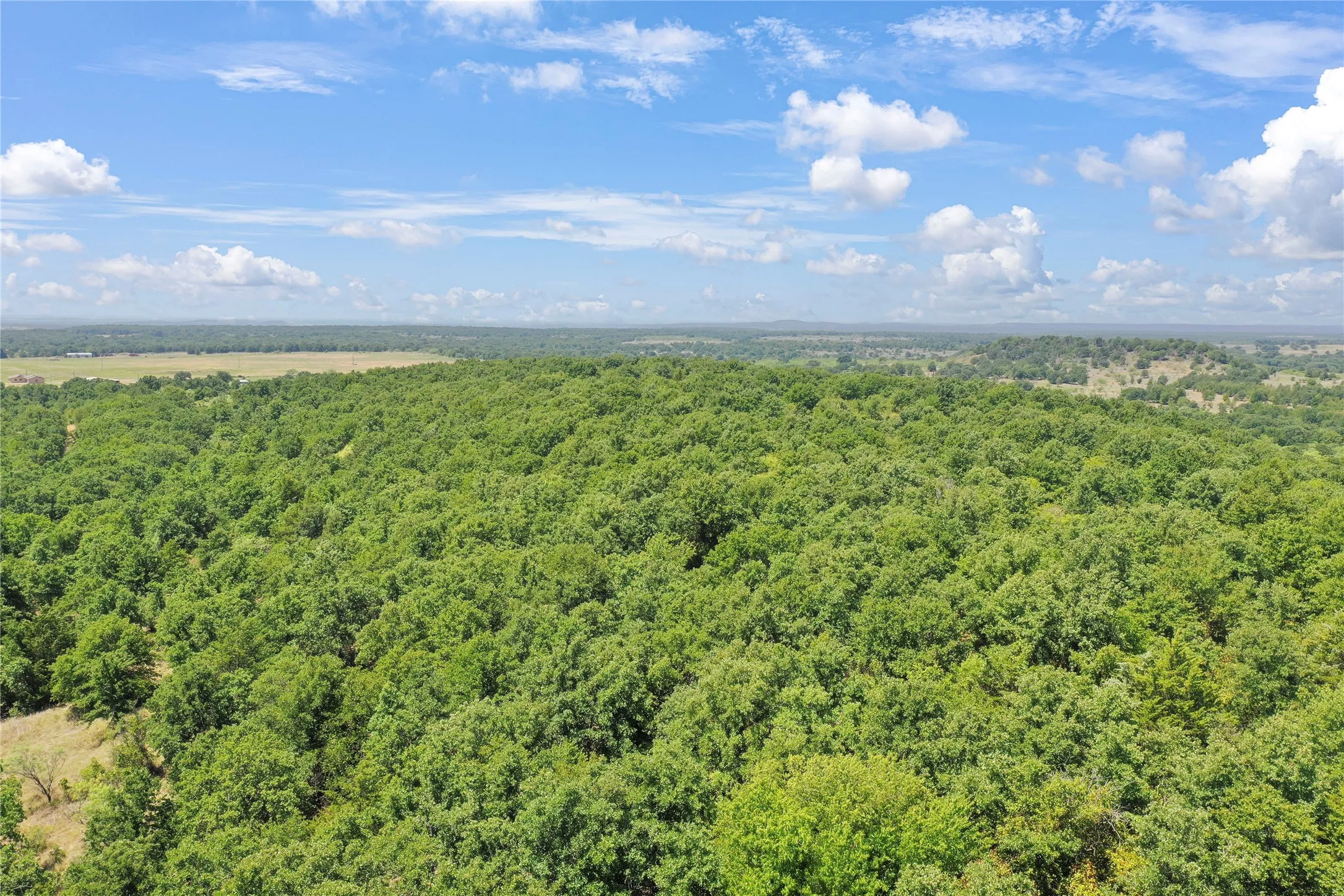 Ranch For Sale in Jack County , 6551 Crooked Creek Road, Bowie, Texas 76230, 0, 0, Garage spaces, 0 Sqft, built in 1948, Price $1,950,000, mls#21343525, Real Estate Agent in Bowie, Homes For Sale in Jack county, Homes For Sale in Bowie, Realtor in Bowie Texas, Real Estate Brokerage Independent Realty Texas, Luminita Cordes Realtor
