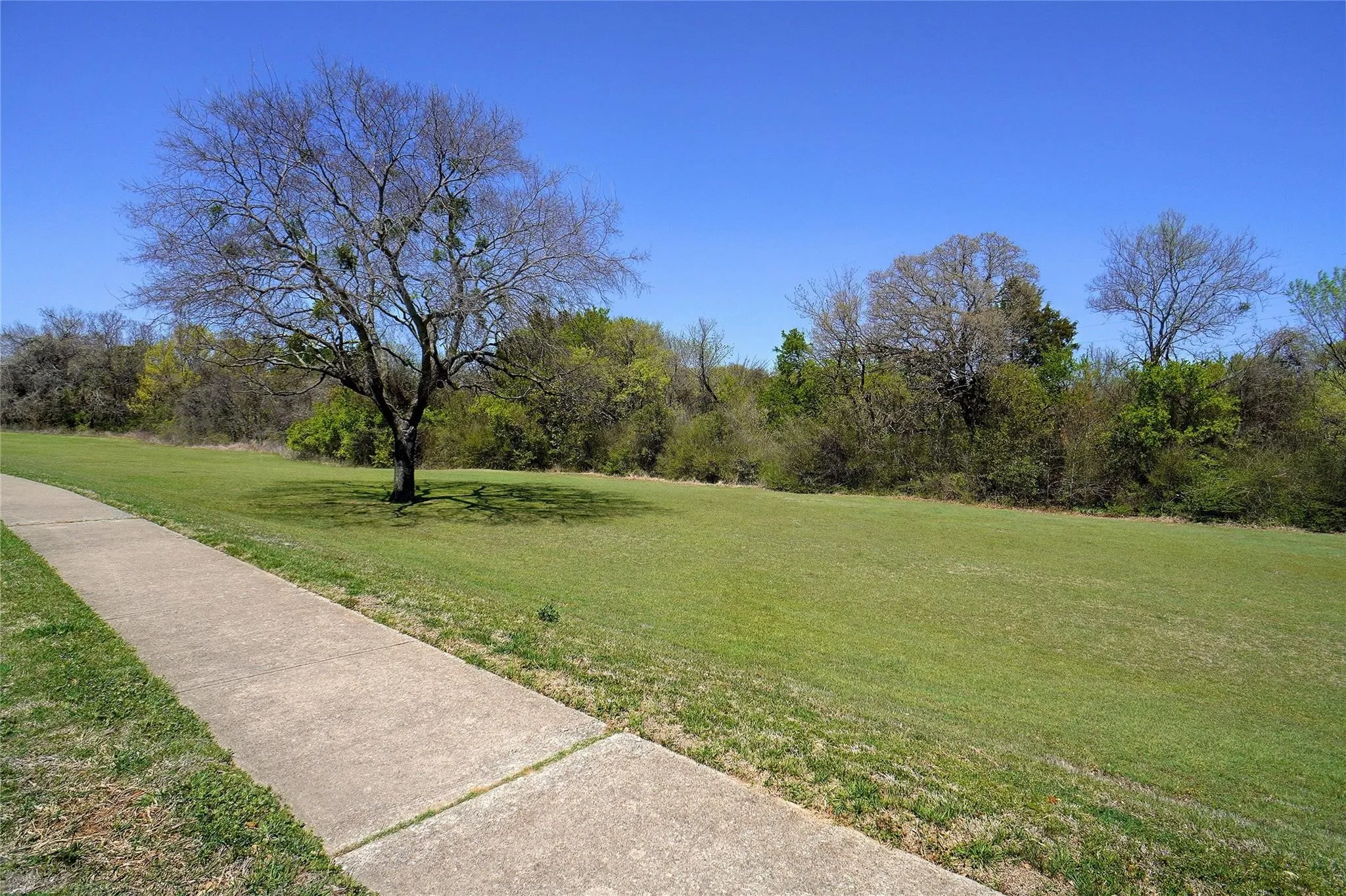 Single Family Residence For Rent in Denton County , 1703 Creekpoint Drive, Lewisville, Texas 75067, 3 Bedrooms, 3 Bathrooms, 2 Garage spaces, 1,466 Sqft, built in 1994, Price $2,400, mls#21332696, Real Estate Agent in Lewisville, Homes For Rent in Denton county, Homes For Rent in Lewisville, Realtor in Lewisville Texas, Real Estate Brokerage Independent Realty Texas, Luminita Cordes Realtor