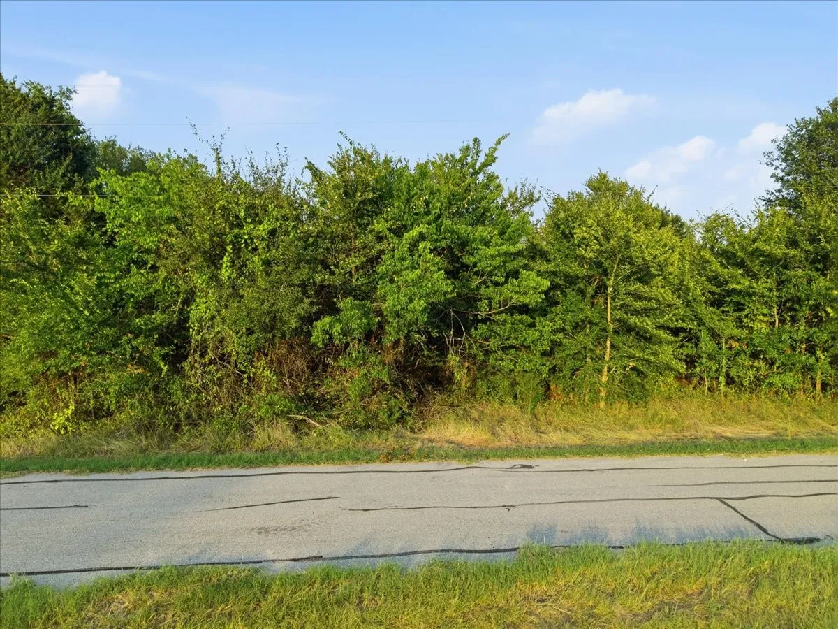 Unimproved Land For Sale in Henderson County , 1641 Kapuna Drive, Tool, Texas 75143, 0, 0, Garage spaces, 0 Sqft, built in 0, mls#21340596, Real Estate Agent in Tool, Homes For Sale in Henderson county, Homes For Sale in Tool, Realtor in Tool Texas, Real Estate Brokerage Independent Realty Texas, Luminita Cordes Realtor