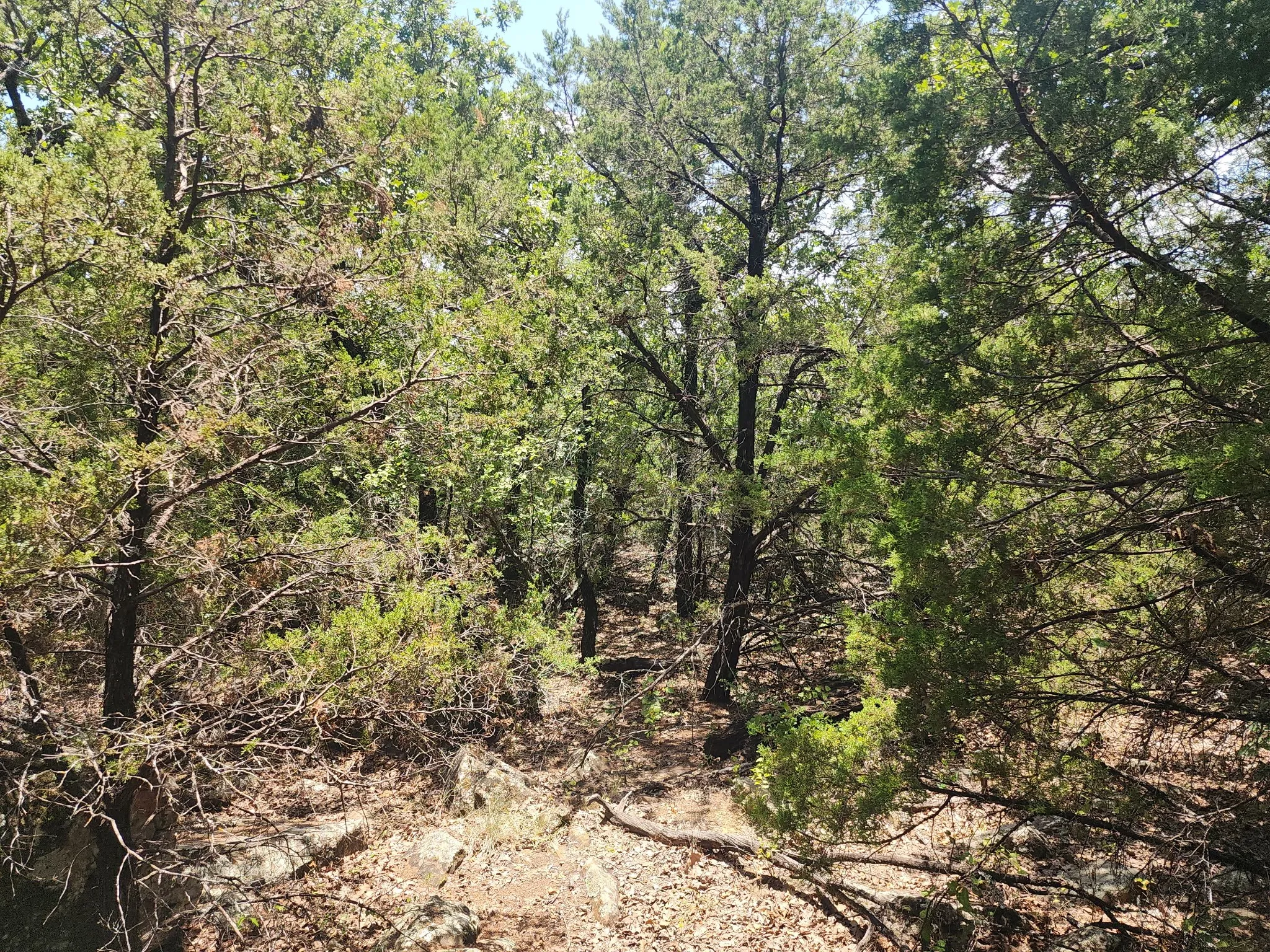 Improved Land For Sale in Palo Pinto County , 2784 Highway 180 W, Mineral Wells, Texas 76067, 0, 0, Garage spaces, 0 Sqft, built in 0, mls#21341137, Real Estate Agent in Mineral Wells, Homes For Sale in Palo Pinto county, Homes For Sale in Mineral Wells, Realtor in Mineral Wells Texas, Real Estate Brokerage Independent Realty Texas, Luminita Cordes Realtor