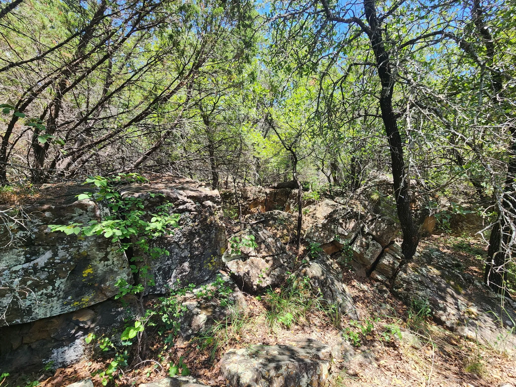 Improved Land For Sale in Palo Pinto County , 2784 Highway 180 W, Mineral Wells, Texas 76067, 0, 0, Garage spaces, 0 Sqft, built in 0, mls#21341137, Real Estate Agent in Mineral Wells, Homes For Sale in Palo Pinto county, Homes For Sale in Mineral Wells, Realtor in Mineral Wells Texas, Real Estate Brokerage Independent Realty Texas, Luminita Cordes Realtor