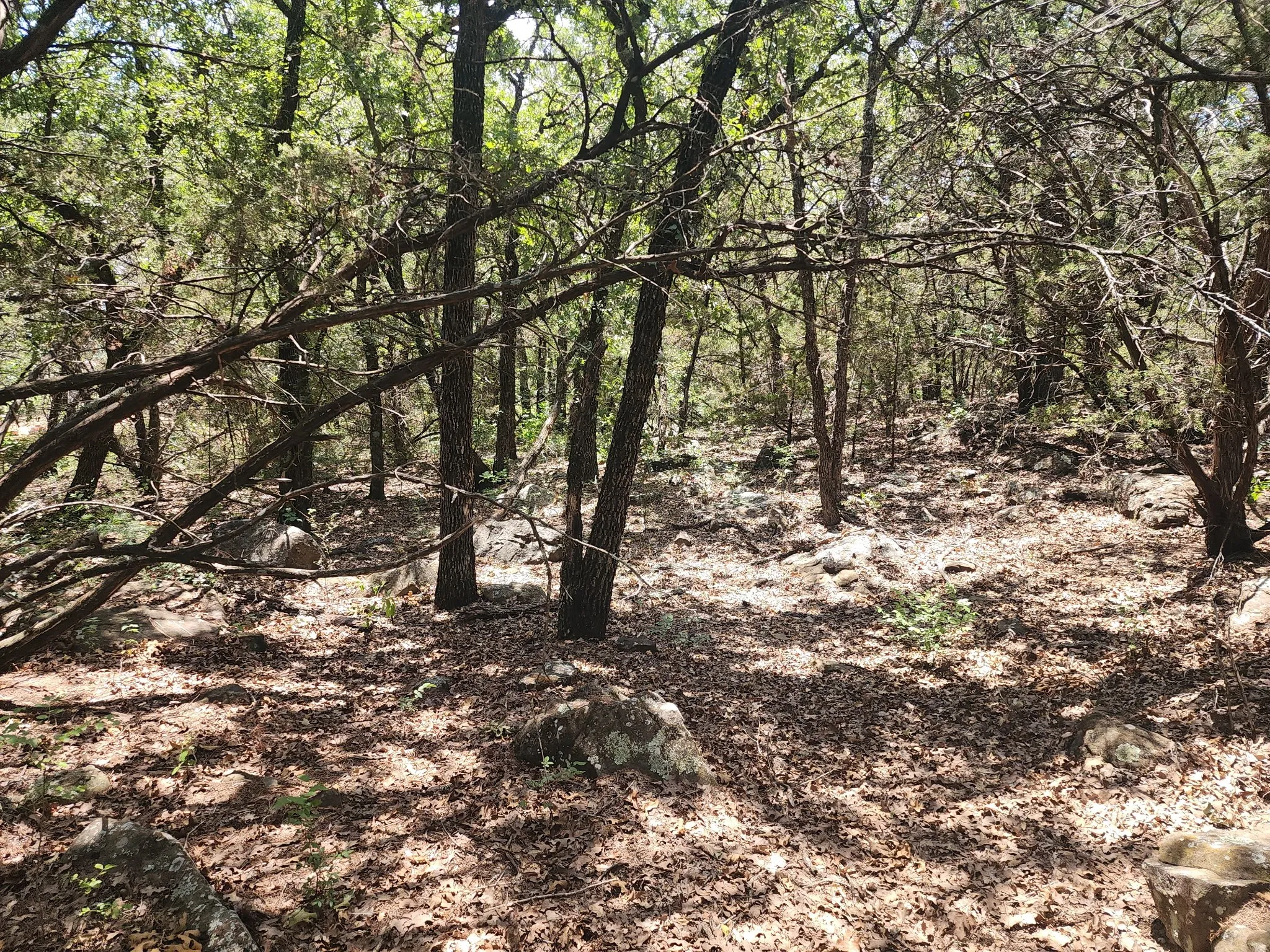 Improved Land For Sale in Palo Pinto County , 2784 Highway 180 W, Mineral Wells, Texas 76067, 0, 0, Garage spaces, 0 Sqft, built in 0, mls#21341137, Real Estate Agent in Mineral Wells, Homes For Sale in Palo Pinto county, Homes For Sale in Mineral Wells, Realtor in Mineral Wells Texas, Real Estate Brokerage Independent Realty Texas, Luminita Cordes Realtor