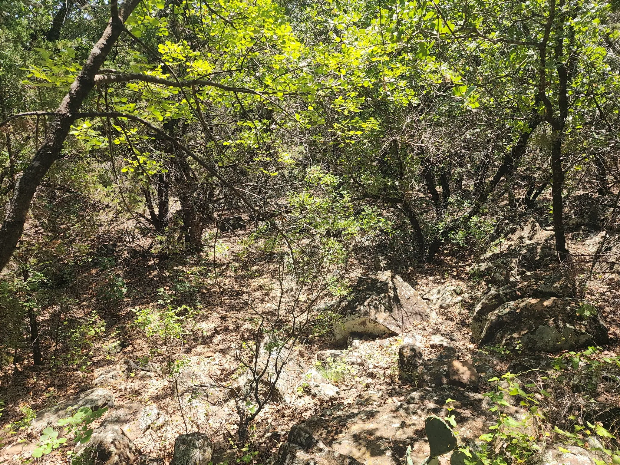 Improved Land For Sale in Palo Pinto County , 2784 Highway 180 W, Mineral Wells, Texas 76067, 0, 0, Garage spaces, 0 Sqft, built in 0, mls#21341137, Real Estate Agent in Mineral Wells, Homes For Sale in Palo Pinto county, Homes For Sale in Mineral Wells, Realtor in Mineral Wells Texas, Real Estate Brokerage Independent Realty Texas, Luminita Cordes Realtor