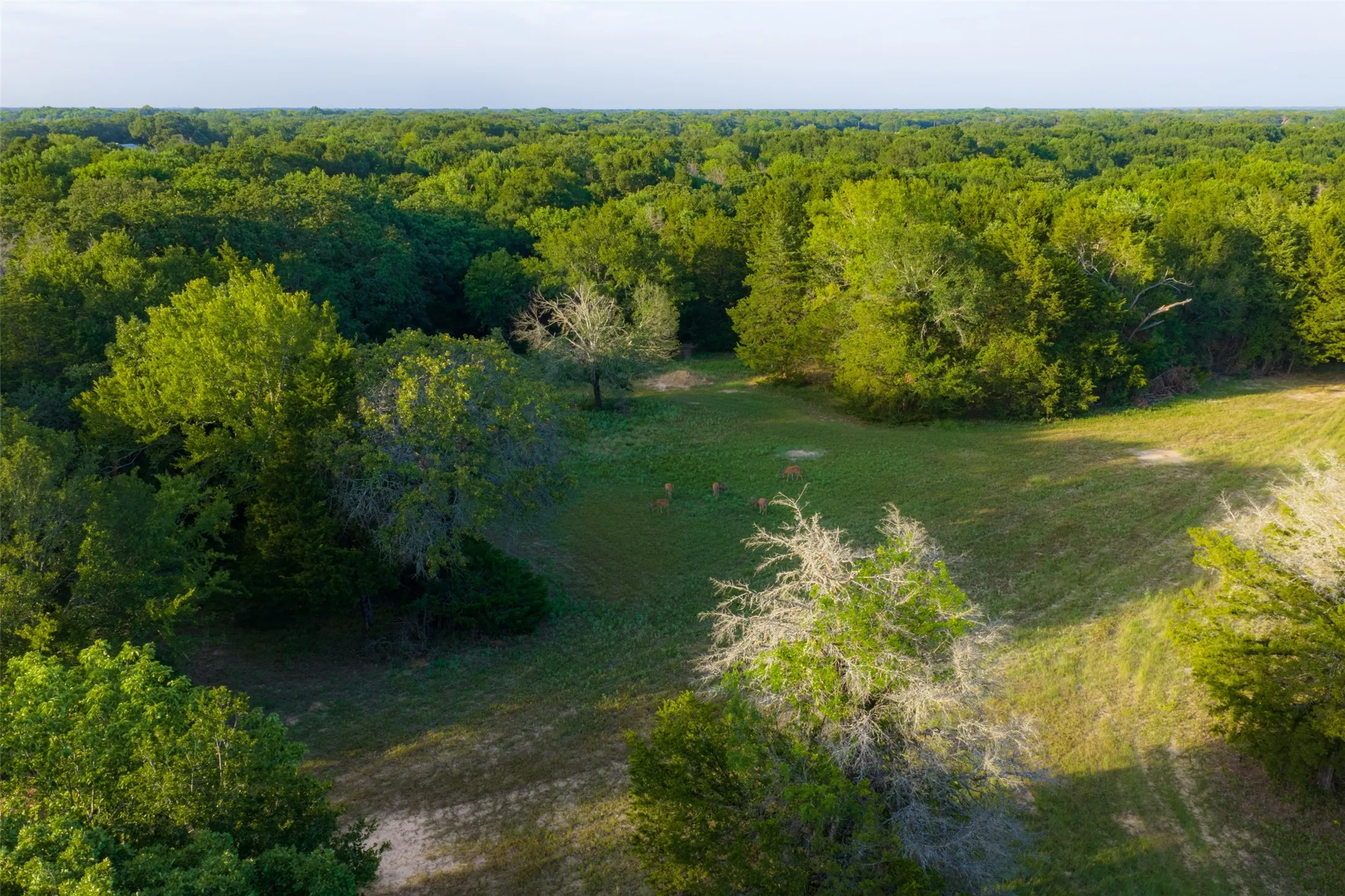 Farm For Sale in Kaufman County , 10100 County Road 4028, Kemp, Texas 75143, 3 Bedrooms, 3 Bathrooms, Garage spaces, 2,370 Sqft, built in 1994, Price $2,250,000, mls#21343695, Real Estate Agent in Kemp, Homes For Sale in Kaufman county, Homes For Sale in Kemp, Realtor in Kemp Texas, Real Estate Brokerage Independent Realty Texas, Luminita Cordes Realtor