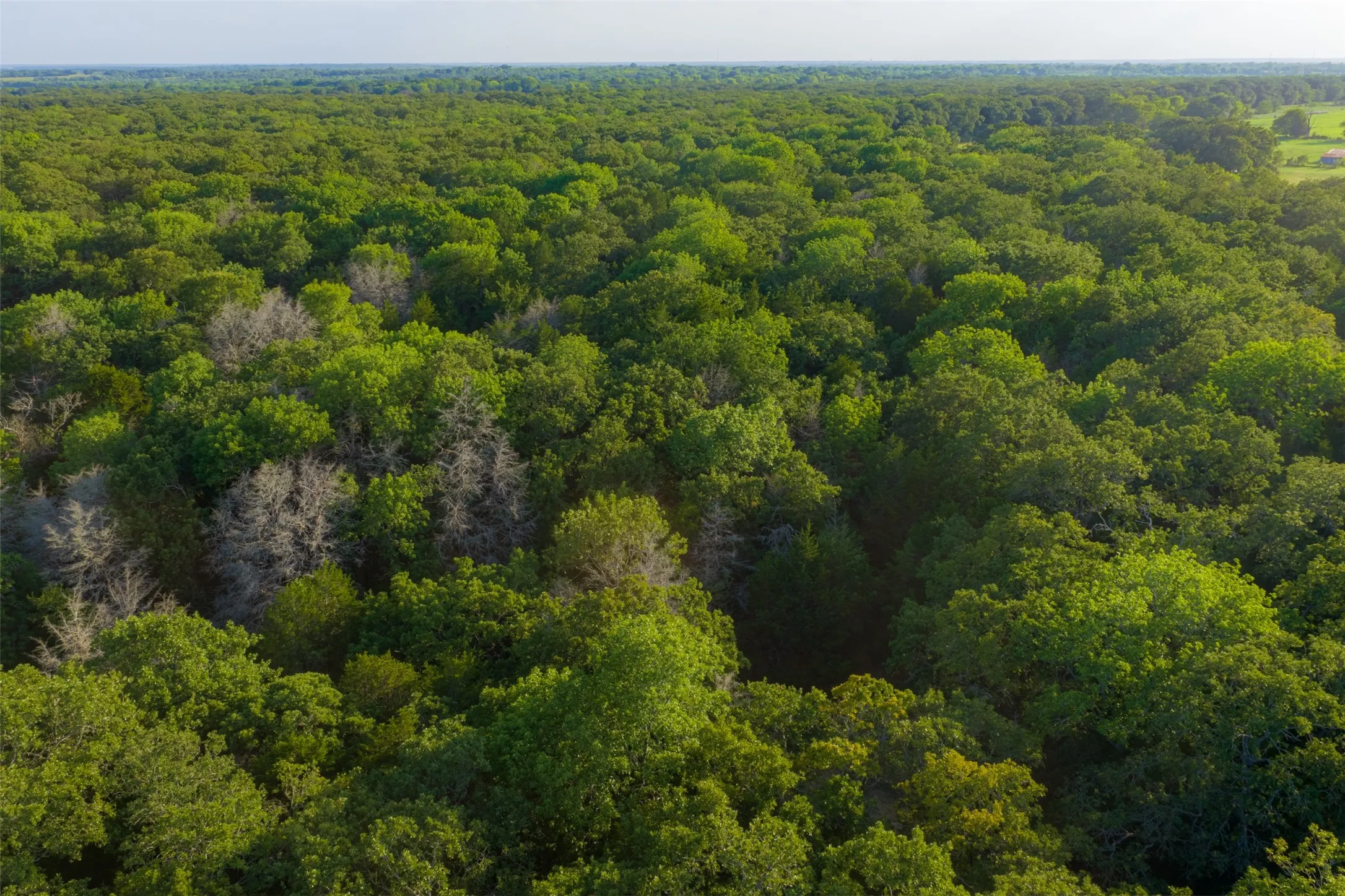 Farm For Sale in Kaufman County , 10100 County Road 4028, Kemp, Texas 75143, 3 Bedrooms, 3 Bathrooms, Garage spaces, 2,370 Sqft, built in 1994, Price $2,250,000, mls#21343695, Real Estate Agent in Kemp, Homes For Sale in Kaufman county, Homes For Sale in Kemp, Realtor in Kemp Texas, Real Estate Brokerage Independent Realty Texas, Luminita Cordes Realtor