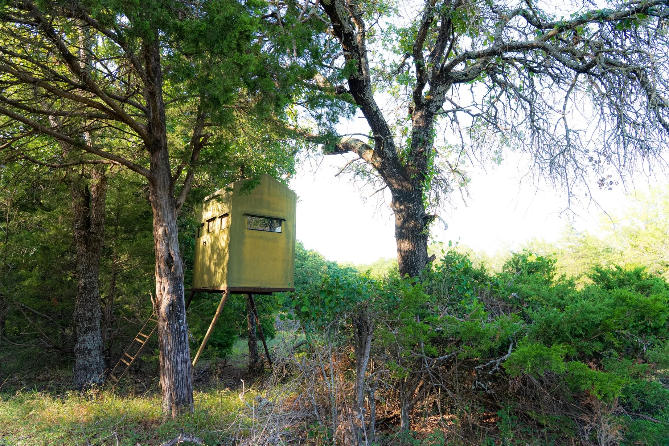 Farm For Sale in Kaufman County , 10100 County Road 4028, Kemp, Texas 75143, 3 Bedrooms, 3 Bathrooms, Garage spaces, 2,370 Sqft, built in 1994, Price $2,250,000, mls#21343695, Real Estate Agent in Kemp, Homes For Sale in Kaufman county, Homes For Sale in Kemp, Realtor in Kemp Texas, Real Estate Brokerage Independent Realty Texas, Luminita Cordes Realtor