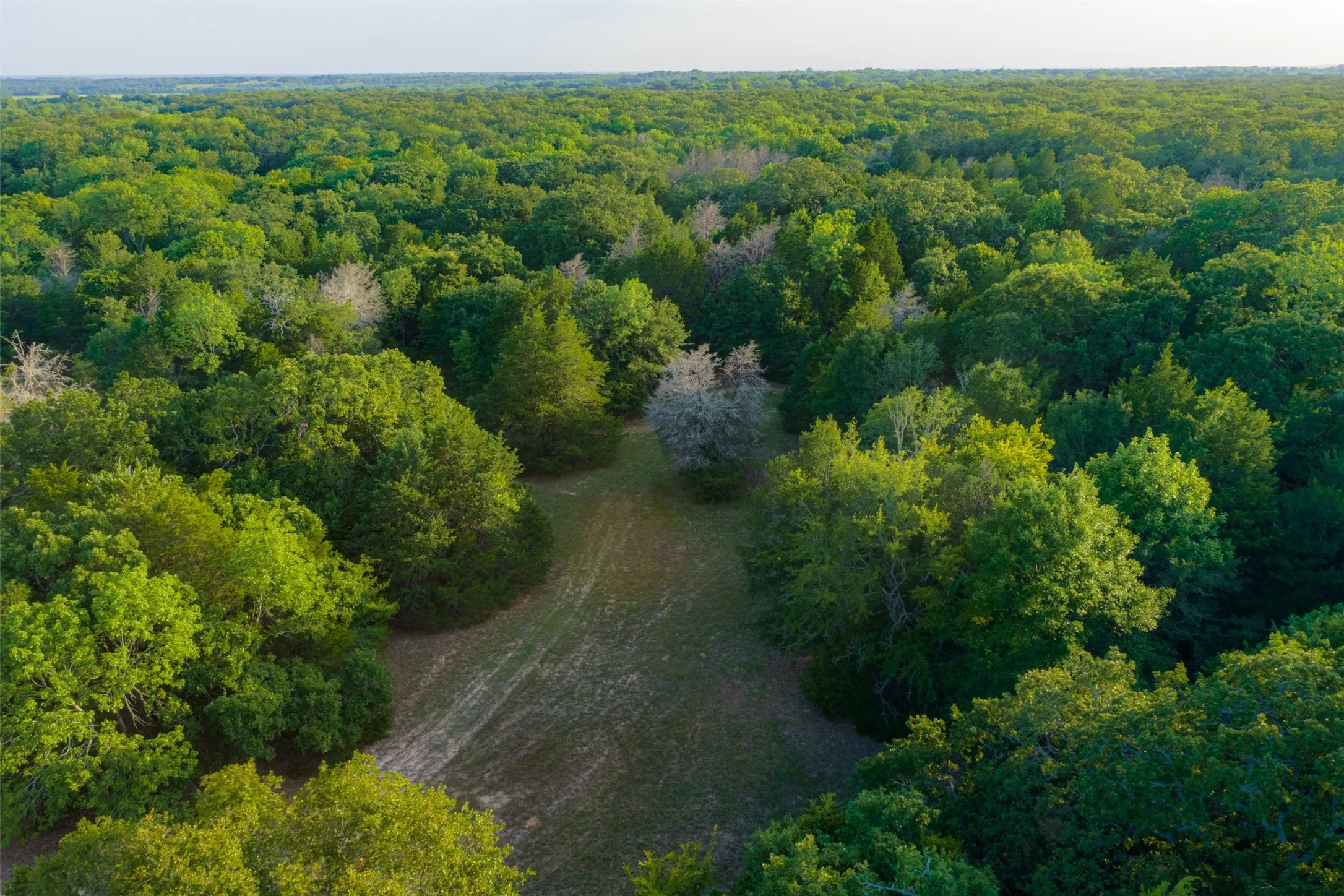 Farm For Sale in Kaufman County , 10100 County Road 4028, Kemp, Texas 75143, 3 Bedrooms, 3 Bathrooms, Garage spaces, 2,370 Sqft, built in 1994, Price $2,250,000, mls#21343695, Real Estate Agent in Kemp, Homes For Sale in Kaufman county, Homes For Sale in Kemp, Realtor in Kemp Texas, Real Estate Brokerage Independent Realty Texas, Luminita Cordes Realtor