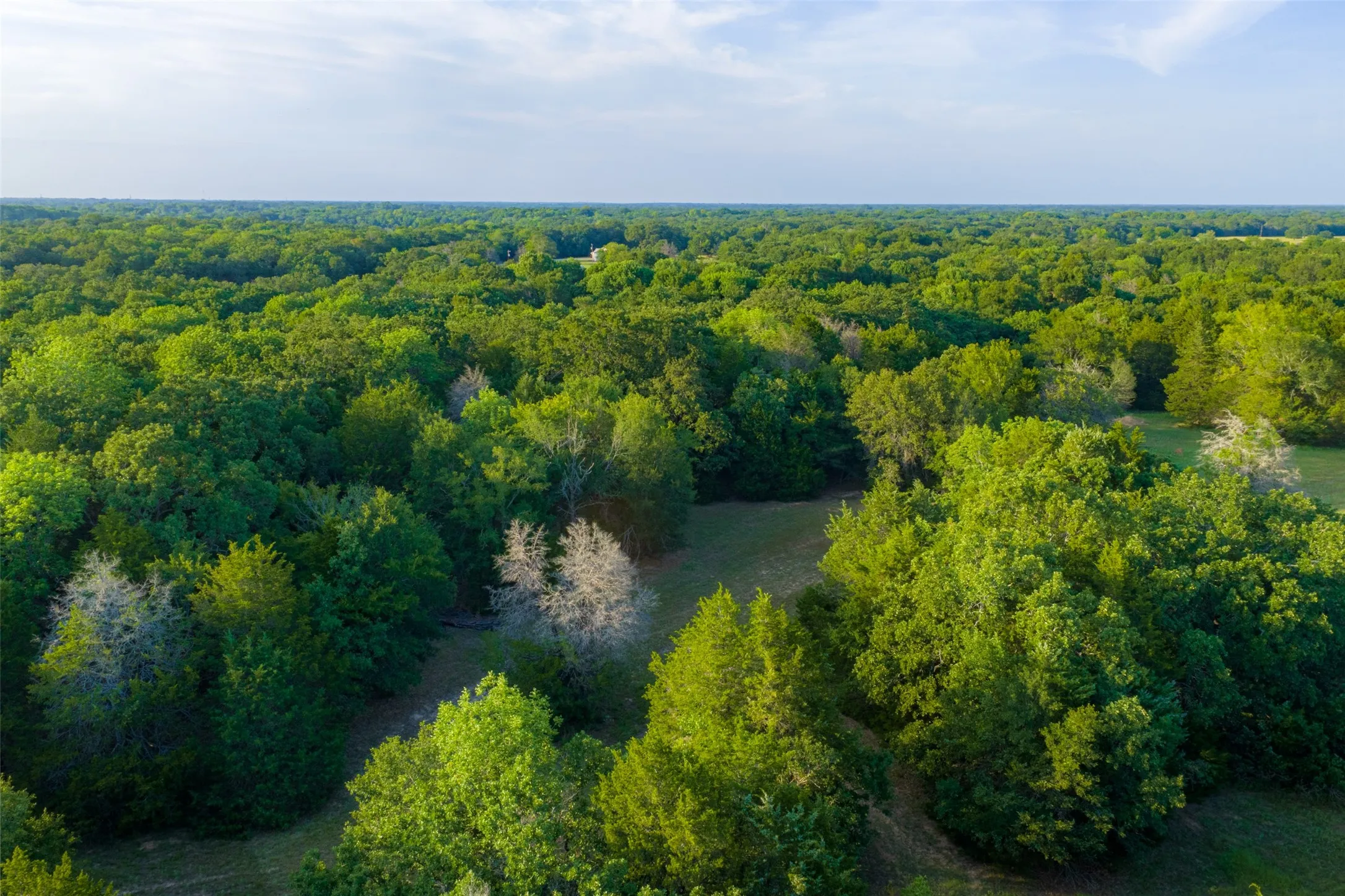 Farm For Sale in Kaufman County , 10100 County Road 4028, Kemp, Texas 75143, 3 Bedrooms, 3 Bathrooms, Garage spaces, 2,370 Sqft, built in 1994, Price $2,250,000, mls#21343695, Real Estate Agent in Kemp, Homes For Sale in Kaufman county, Homes For Sale in Kemp, Realtor in Kemp Texas, Real Estate Brokerage Independent Realty Texas, Luminita Cordes Realtor
