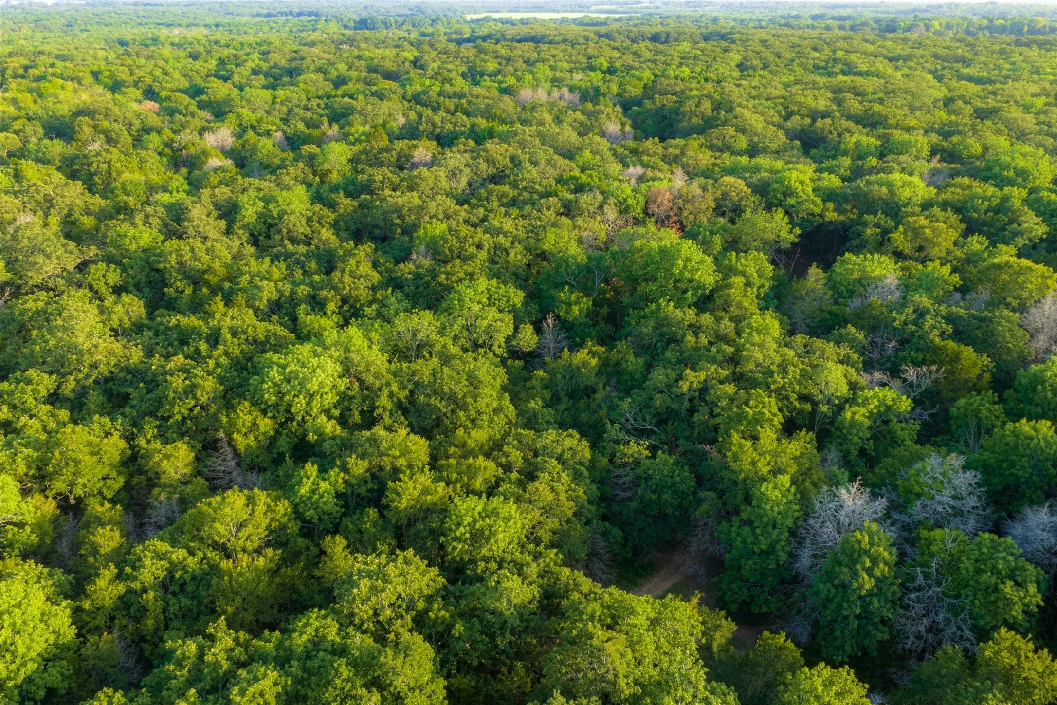 Farm For Sale in Kaufman County , 10100 County Road 4028, Kemp, Texas 75143, 3 Bedrooms, 3 Bathrooms, Garage spaces, 2,370 Sqft, built in 1994, Price $2,250,000, mls#21343695, Real Estate Agent in Kemp, Homes For Sale in Kaufman county, Homes For Sale in Kemp, Realtor in Kemp Texas, Real Estate Brokerage Independent Realty Texas, Luminita Cordes Realtor