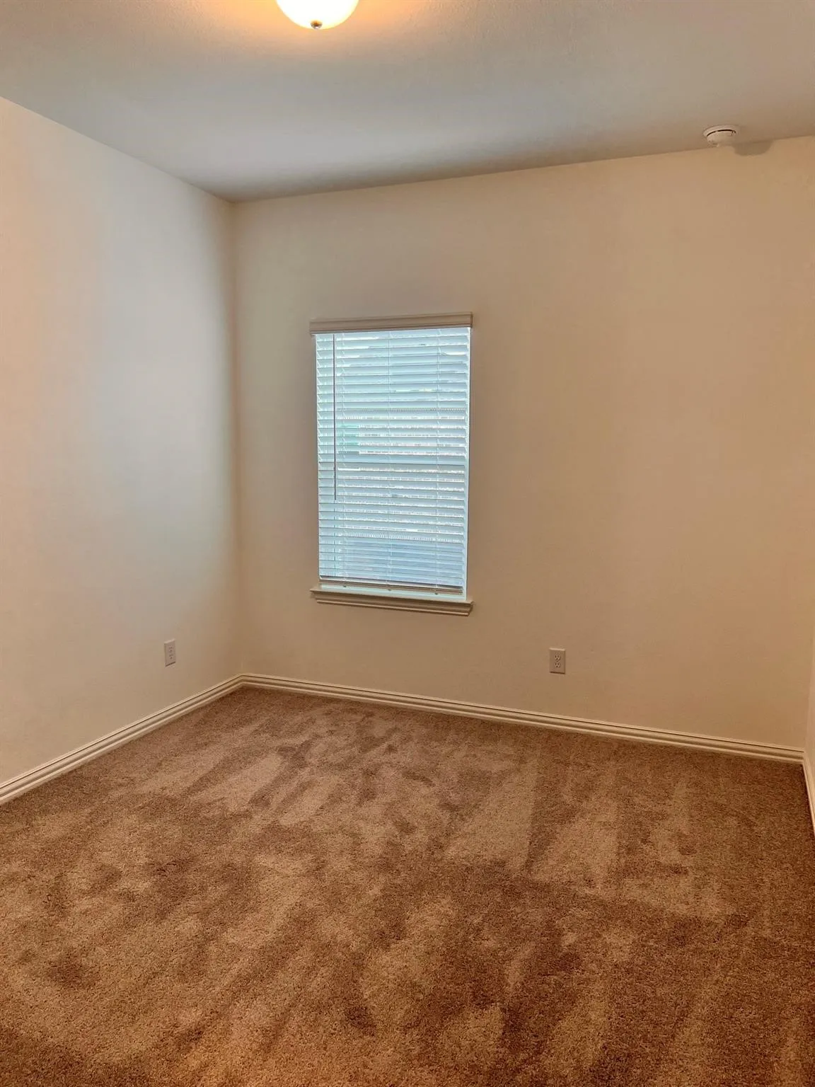 Room featuring neutral-toned walls, brown carpet, and white baseboards