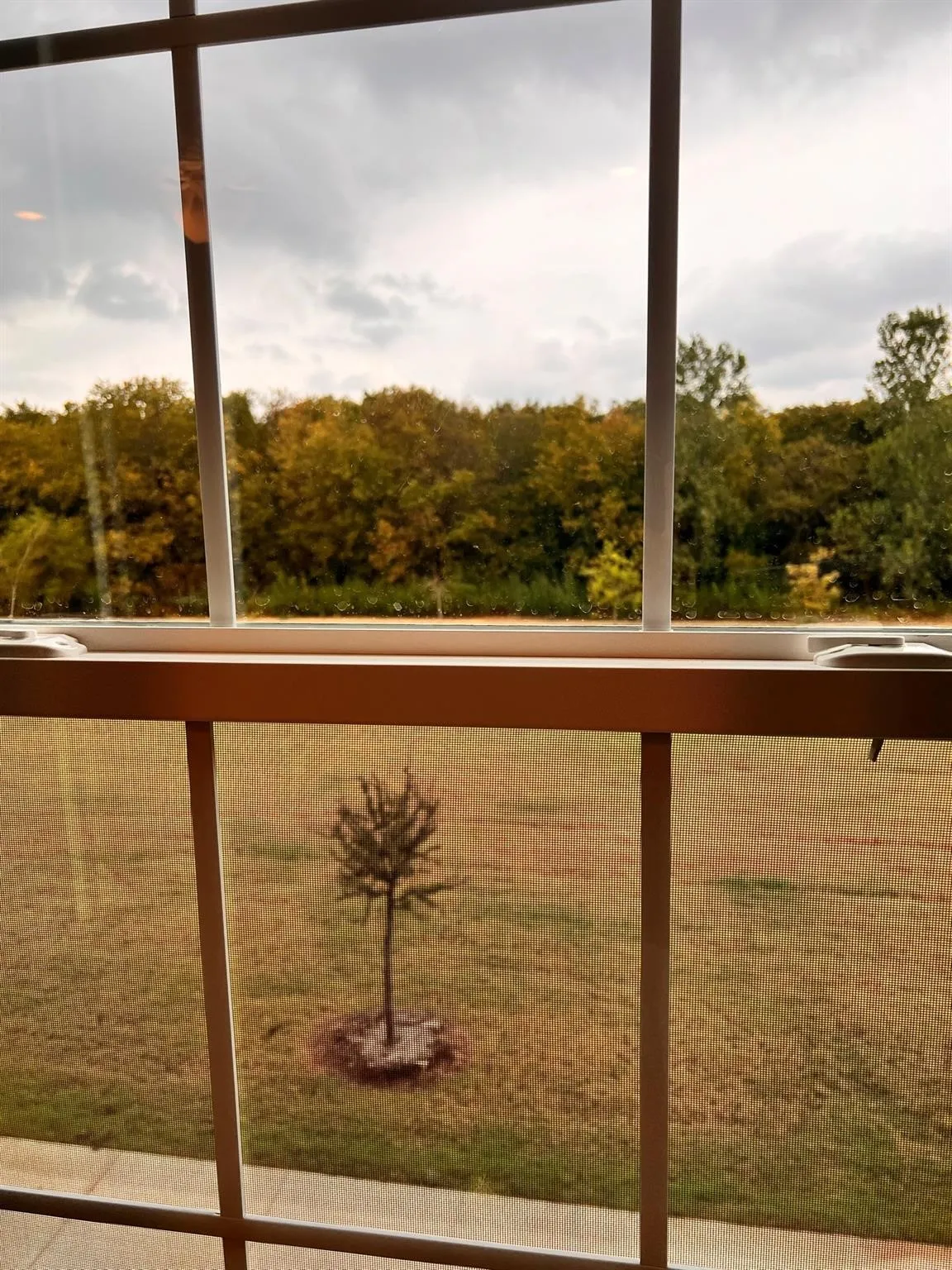 Townhouse For Rent in Collin County , 1054 Old Rosebud Drive, Allen, Texas 75013, 3 Bedroom, 3 Bathroom, 2 Garage spaces, 1,679 Sqft, built in 2023, mls#21343520, Real Estate Agent in Allen, Homes For Rent in Collin county, Homes For Rent in Allen, Realtor in Allen Texas, Real Estate Brokerage Independent Realty Texas, Luminita Cordes Realtor