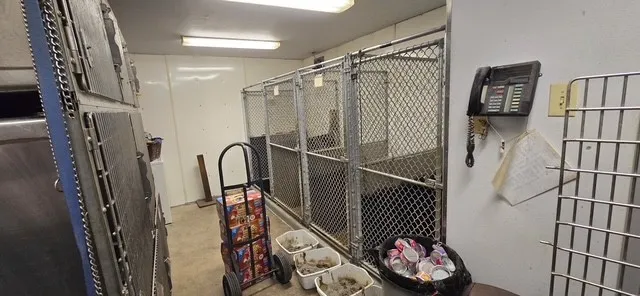 Office For Sale in Denton County , 10621 Fm 2450, Sanger, Texas 76266, 0, 0, Garage spaces, 0 Sqft, built in 1997, mls#21343355, Real Estate Agent in Sanger, Homes For Sale in Denton county, Homes For Sale in Sanger, Realtor in Sanger Texas, Real Estate Brokerage Independent Realty Texas, Luminita Cordes Realtor