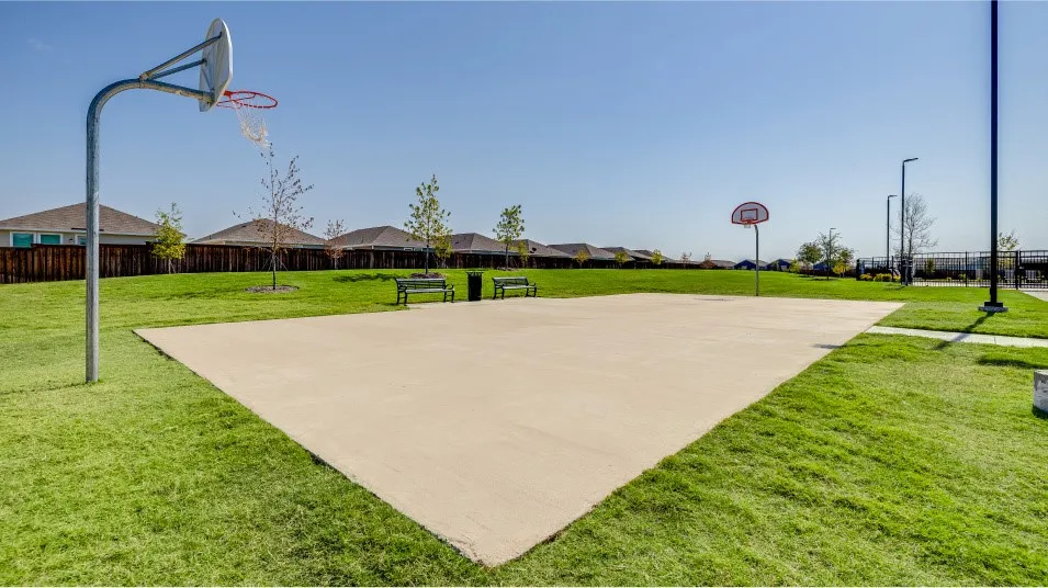 Outdoor basketball court featuring a concrete playing surface, two hoops, and surrounding manicured green space