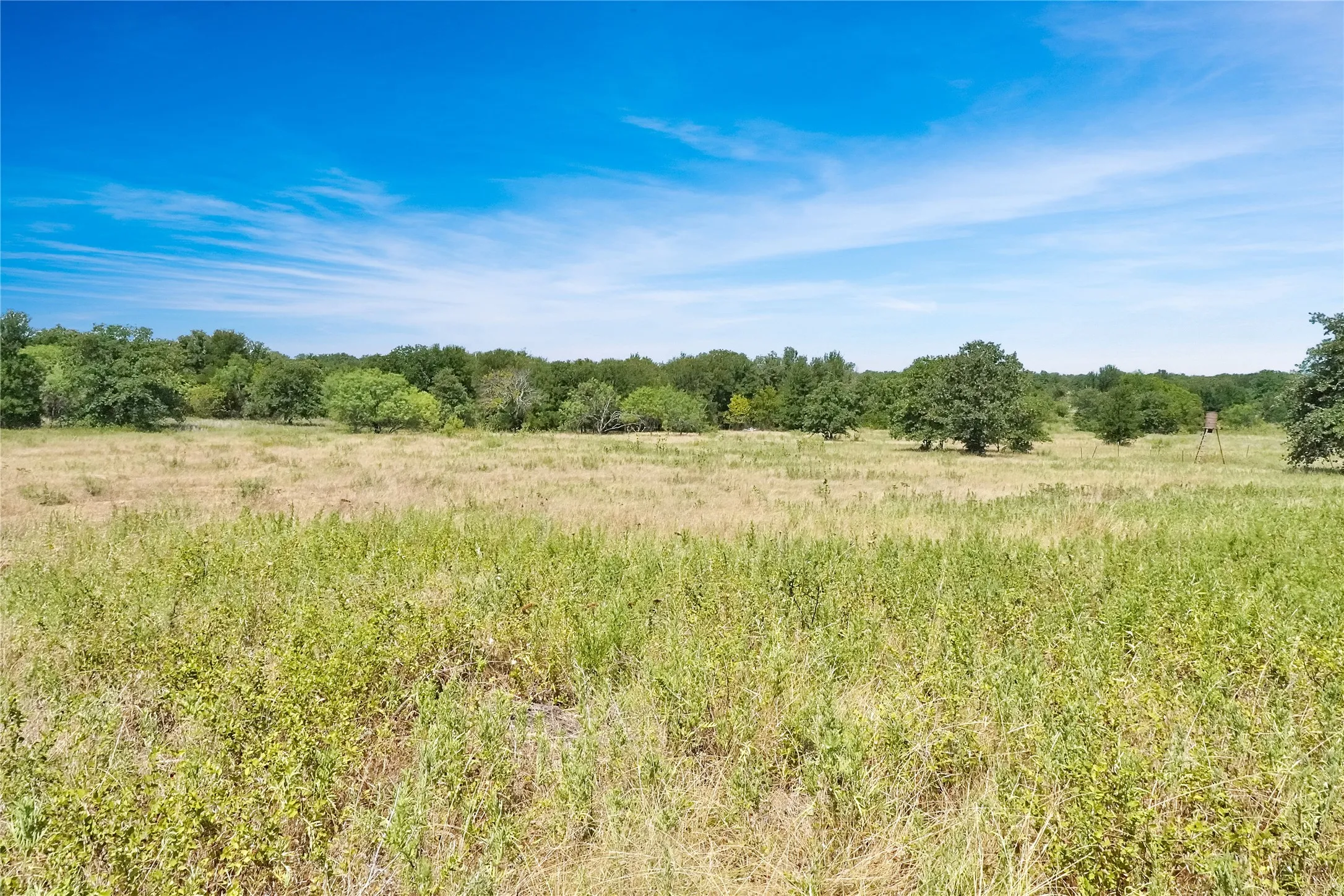 Single Family Residence For Sale in Jack County , 6551 Crooked Creek Road, Jacksboro, Texas 76458, 3 Bedrooms, 2 Bathrooms, 2 Garage spaces, 1,776 Sqft, built in 1948, Price $1,950,000, mls#21343697, Real Estate Agent in Jacksboro, Homes For Sale in Jack county, Homes For Sale in Jacksboro, Realtor in Jacksboro Texas, Real Estate Brokerage Independent Realty Texas, Luminita Cordes Realtor
