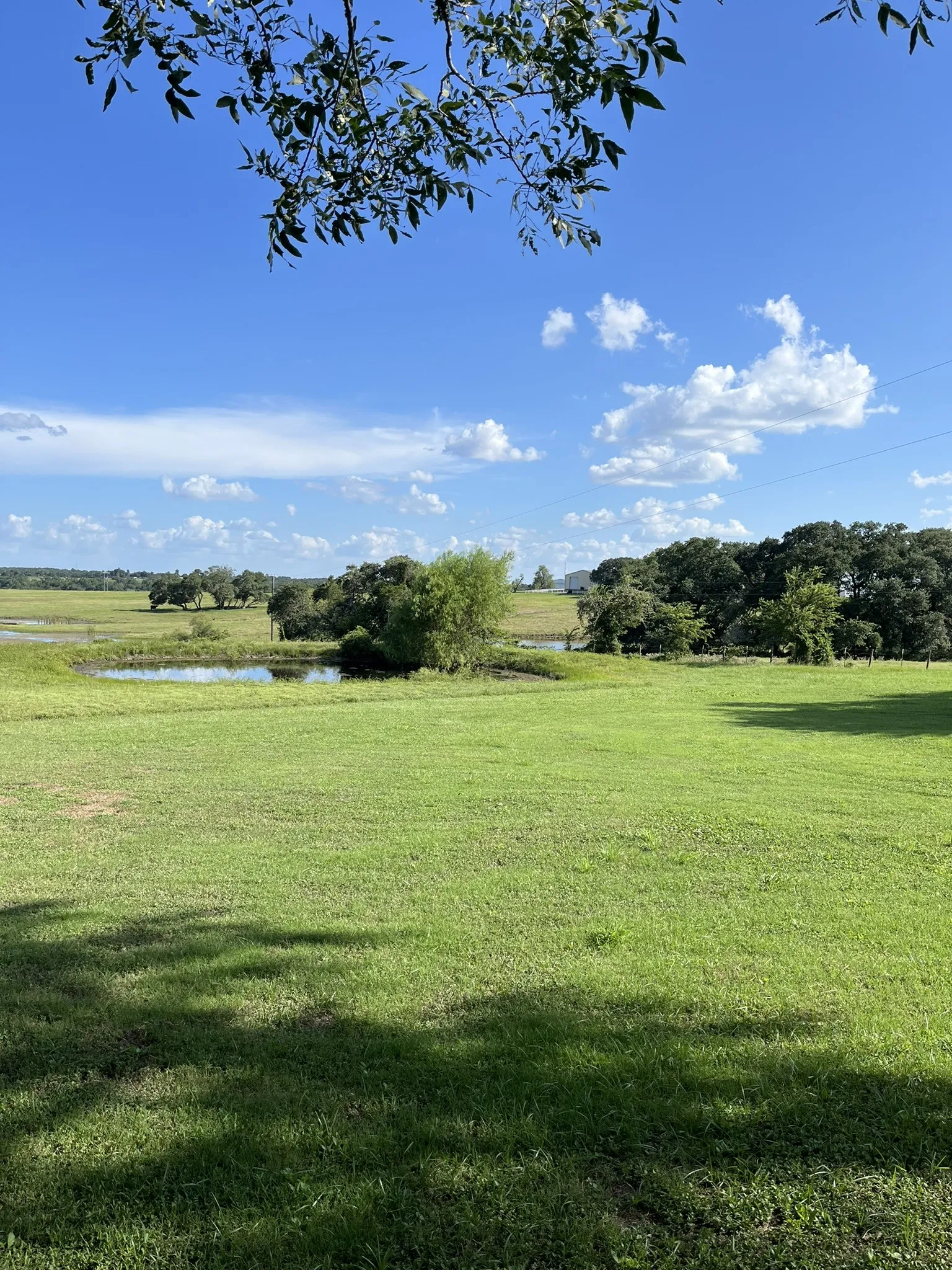 Single Family Residence For Sale in Washington (TX) County , 6303 Greenvine Road, Brenham, Texas 77833, 2 Bedroom, 3 Bathroom, 1 Garage spaces, 2,442 Sqft, built in 1984, mls#21343437, Real Estate Agent in Brenham, Homes For Sale in Washington (TX) county, Homes For Sale in Brenham, Realtor in Brenham Texas, Real Estate Brokerage Independent Realty Texas, Luminita Cordes Realtor