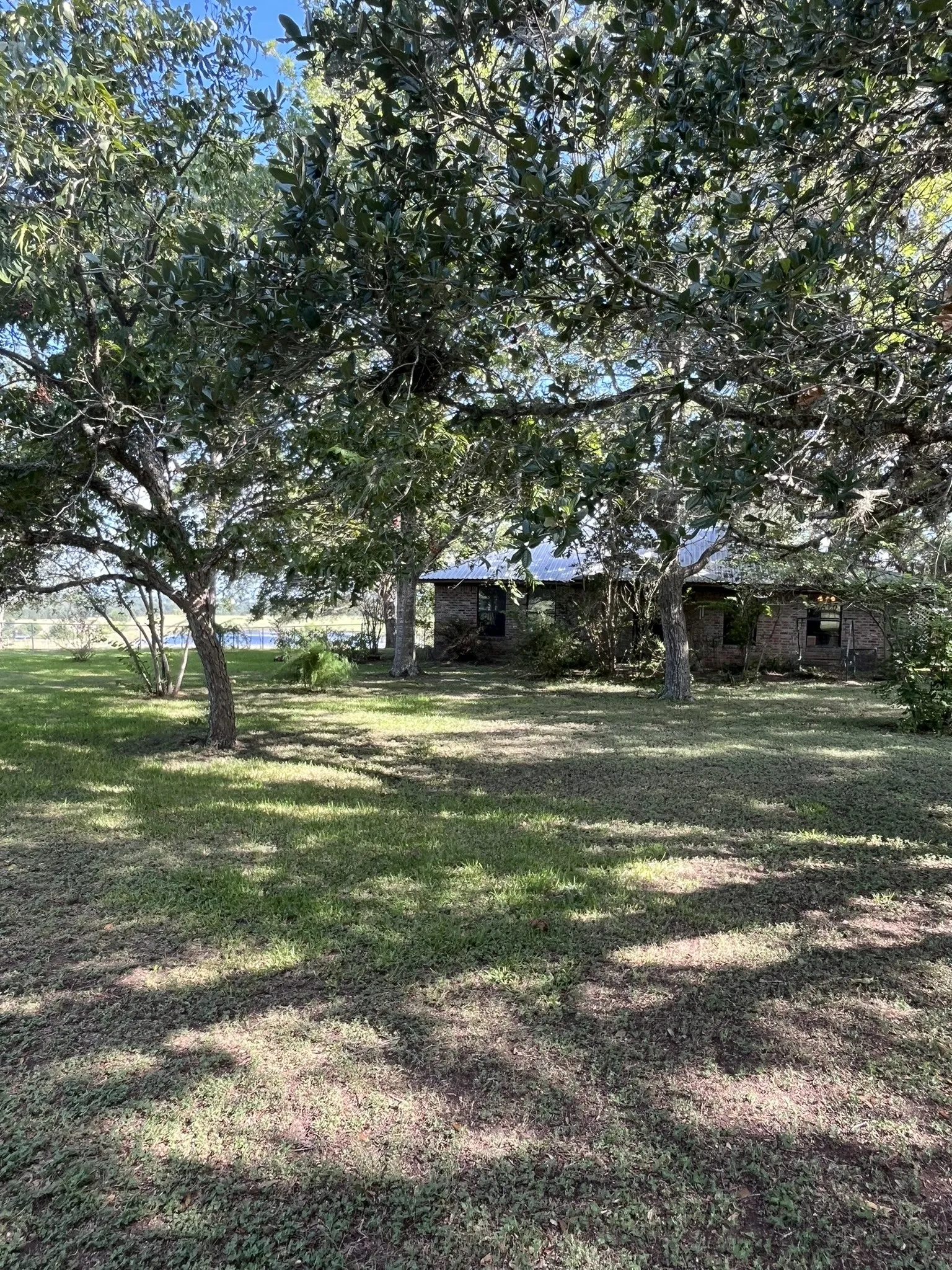 House rests among mature trees.