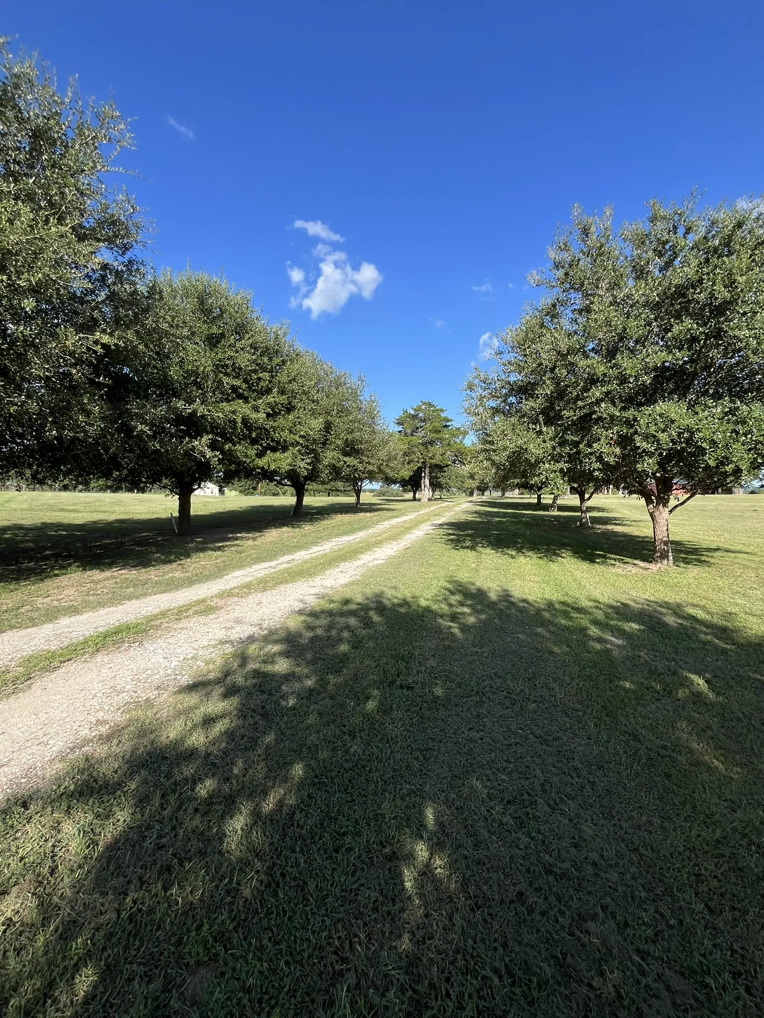 Single Family Residence For Sale in Washington (TX) County , 6303 Greenvine Road, Brenham, Texas 77833, 2 Bedroom, 3 Bathroom, 1 Garage spaces, 2,442 Sqft, built in 1984, mls#21343437, Real Estate Agent in Brenham, Homes For Sale in Washington (TX) county, Homes For Sale in Brenham, Realtor in Brenham Texas, Real Estate Brokerage Independent Realty Texas, Luminita Cordes Realtor