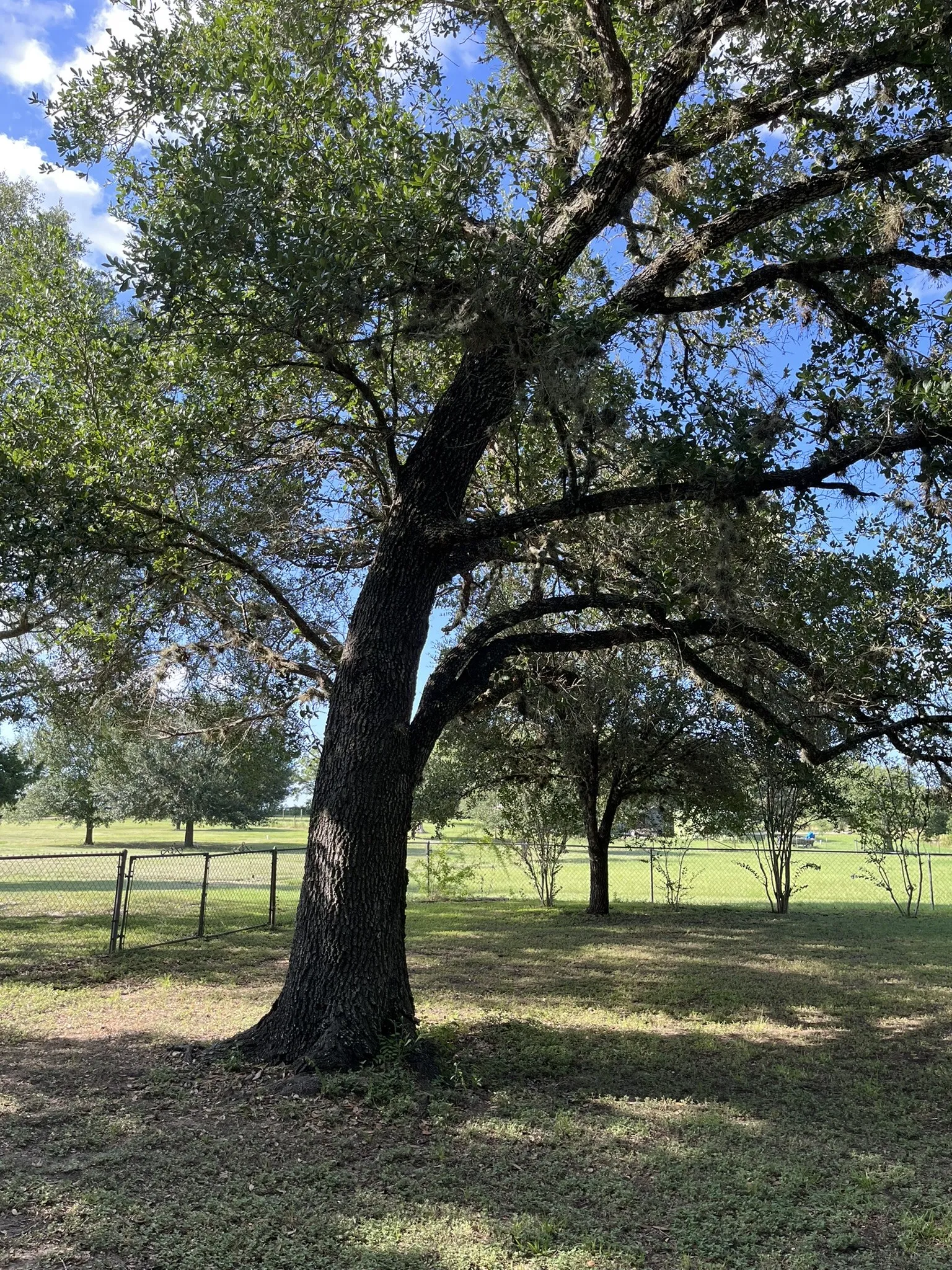 Single Family Residence For Sale in Washington (TX) County , 6303 Greenvine Road, Brenham, Texas 77833, 2 Bedroom, 3 Bathroom, 1 Garage spaces, 2,442 Sqft, built in 1984, mls#21343437, Real Estate Agent in Brenham, Homes For Sale in Washington (TX) county, Homes For Sale in Brenham, Realtor in Brenham Texas, Real Estate Brokerage Independent Realty Texas, Luminita Cordes Realtor