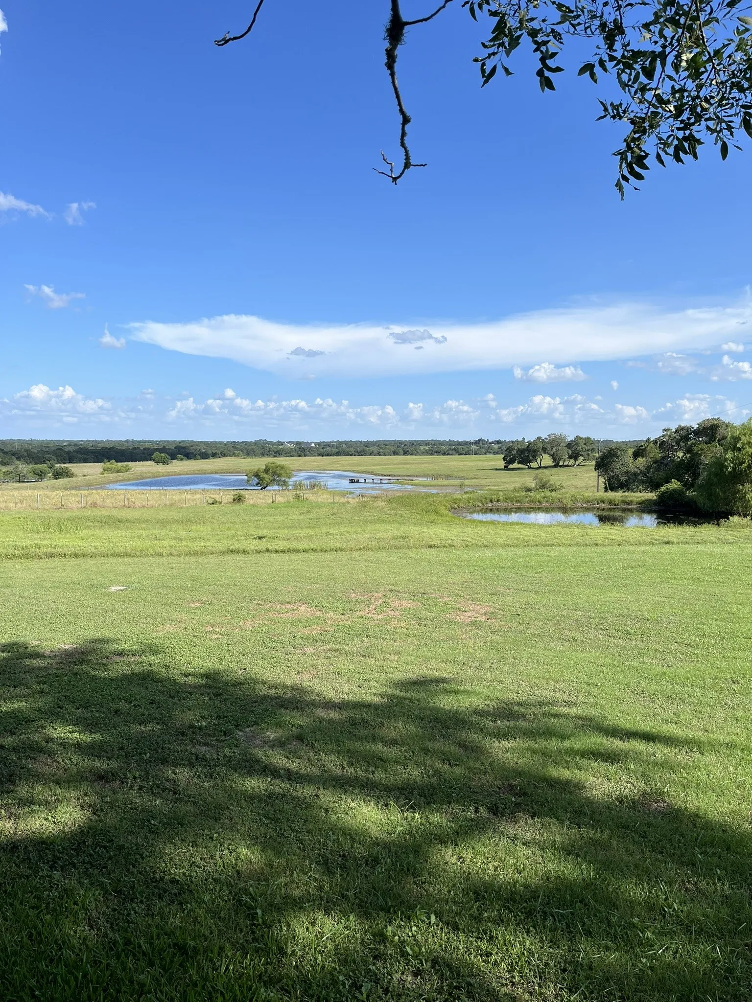 View of four ponds
