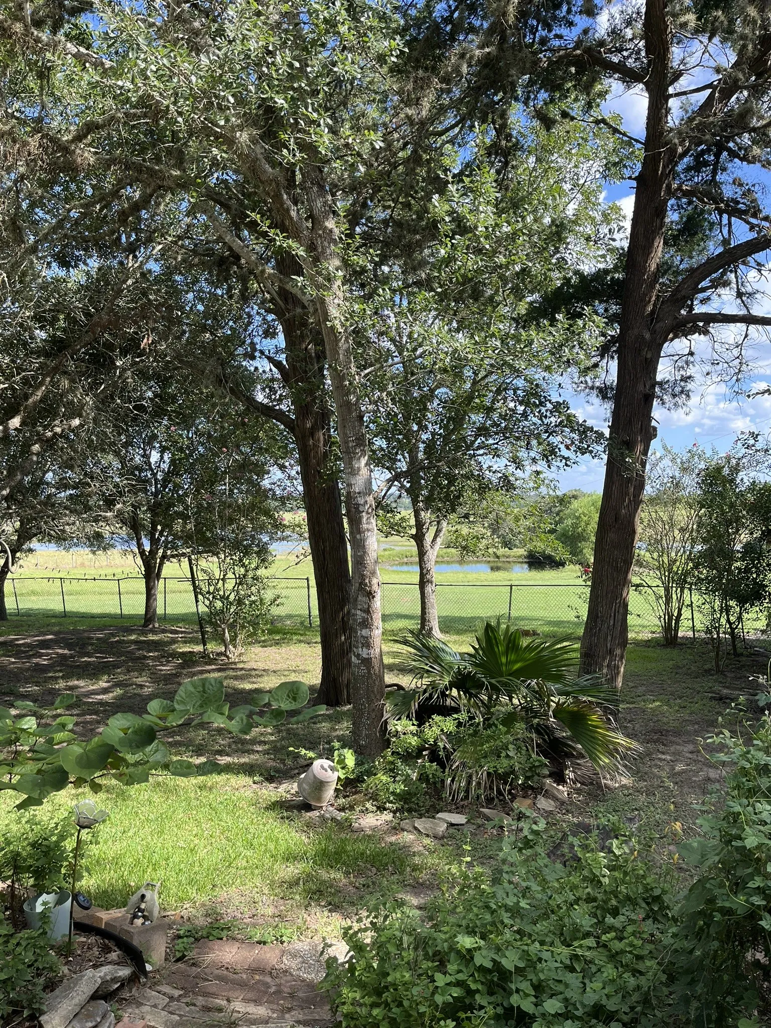 Serene setting