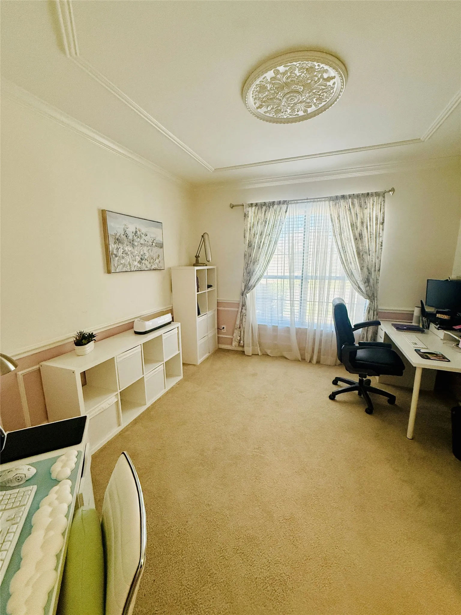 Spacious room featuring carpet flooring, crown molding, and a decorative ceiling medallion