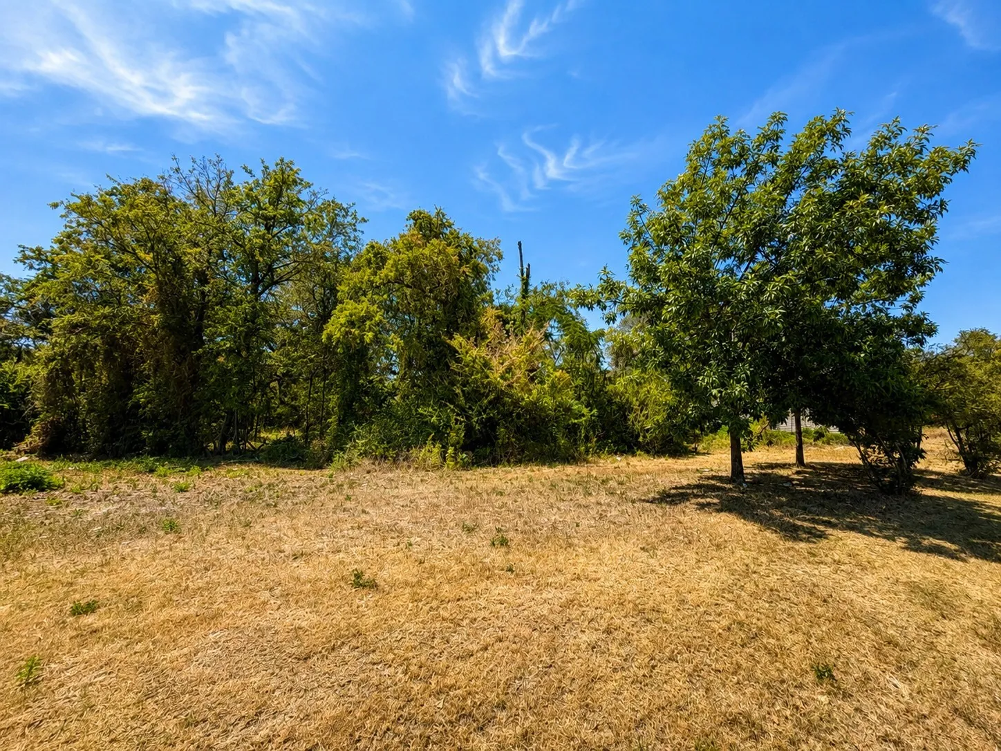 Unimproved Land For Sale in Tarrant County , 1156 Mansfield Avenue, Fort Worth, Texas 76104, 0, 0, Garage spaces, 0 Sqft, built in 0, Price $170,000, mls#21341135, Real Estate Agent in Fort Worth, Homes For Sale in Tarrant county, Homes For Sale in Fort Worth, Realtor in Fort Worth Texas, Real Estate Brokerage Independent Realty Texas, Luminita Cordes Realtor