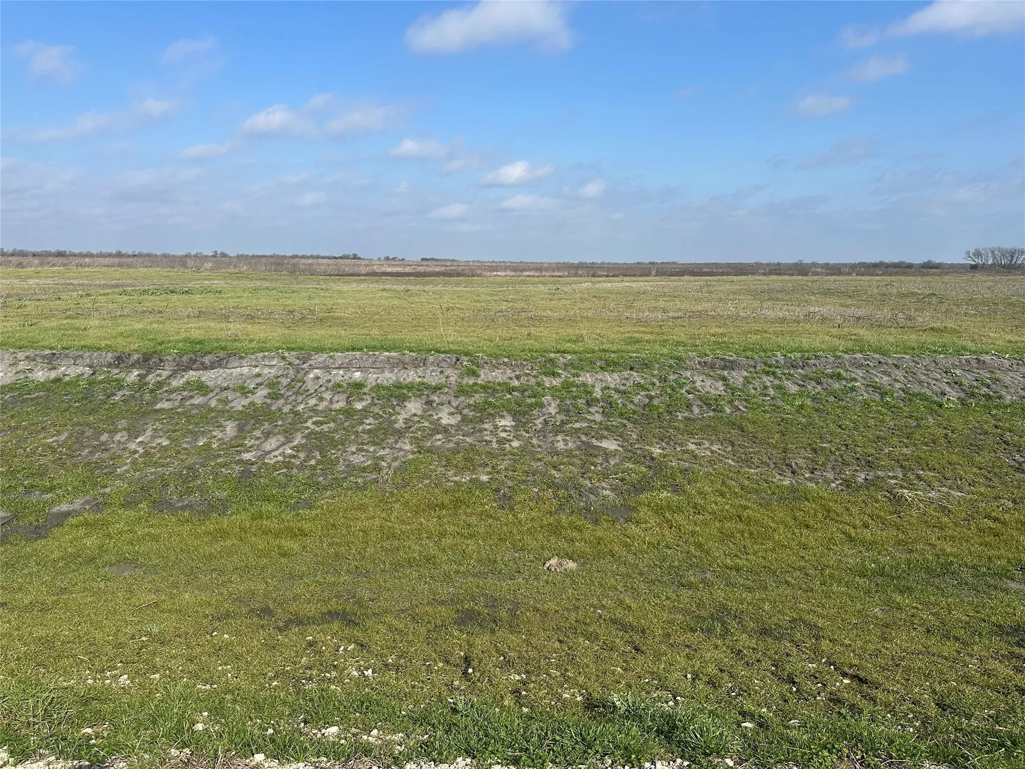 Expansive agricultural land featuring a clear sky overhead and a distant tree line