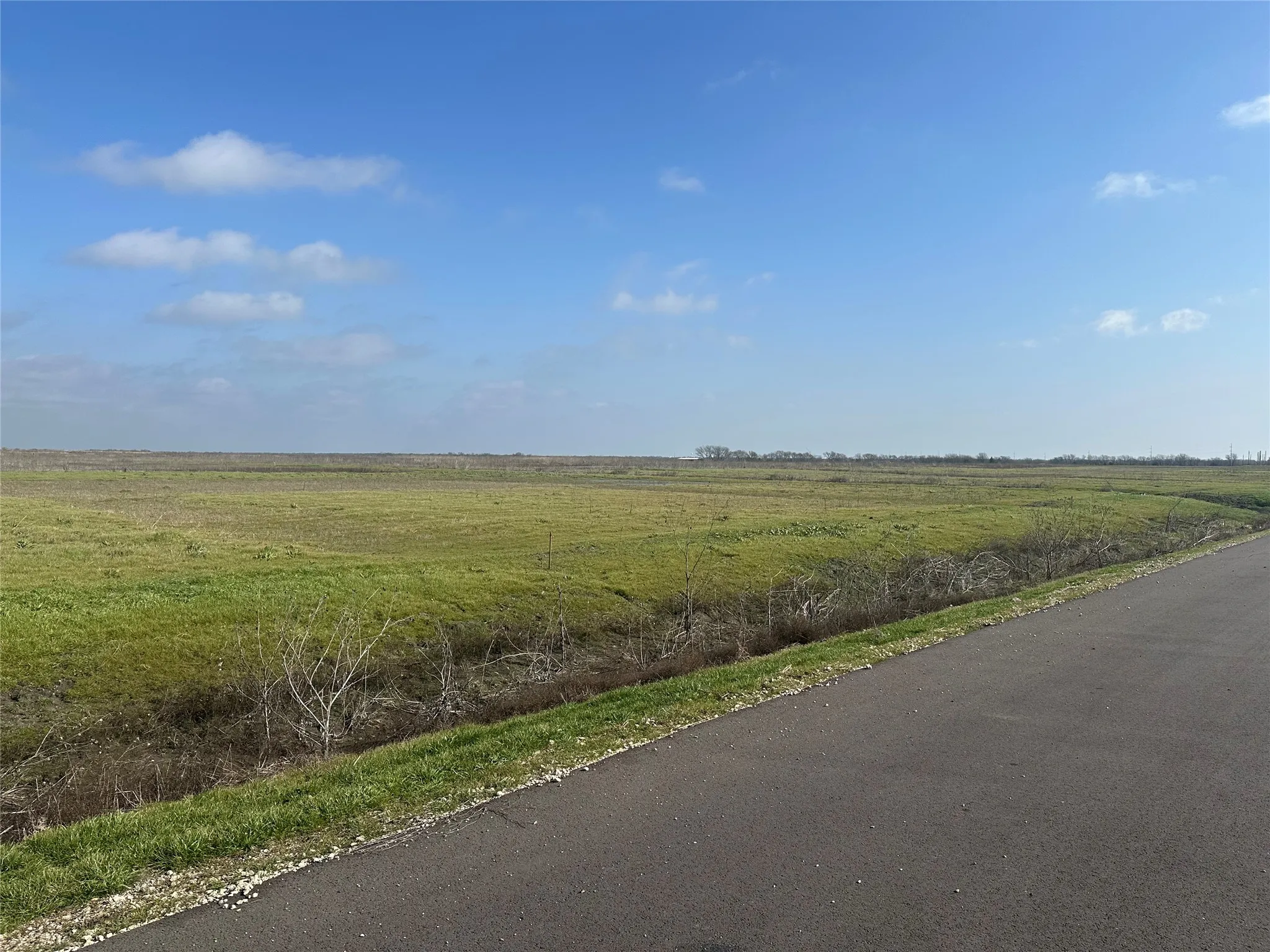 Expansive green pastureland with a clear blue sky overhead