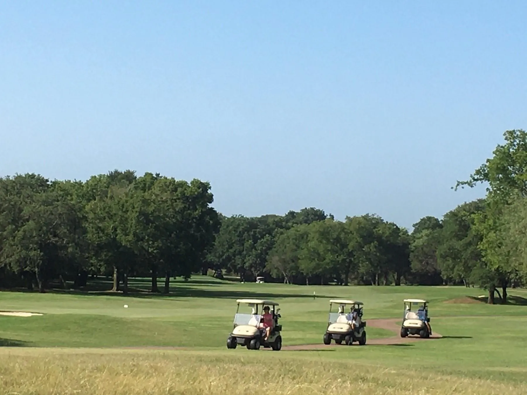 Golf course environment featuring expansive green fairways