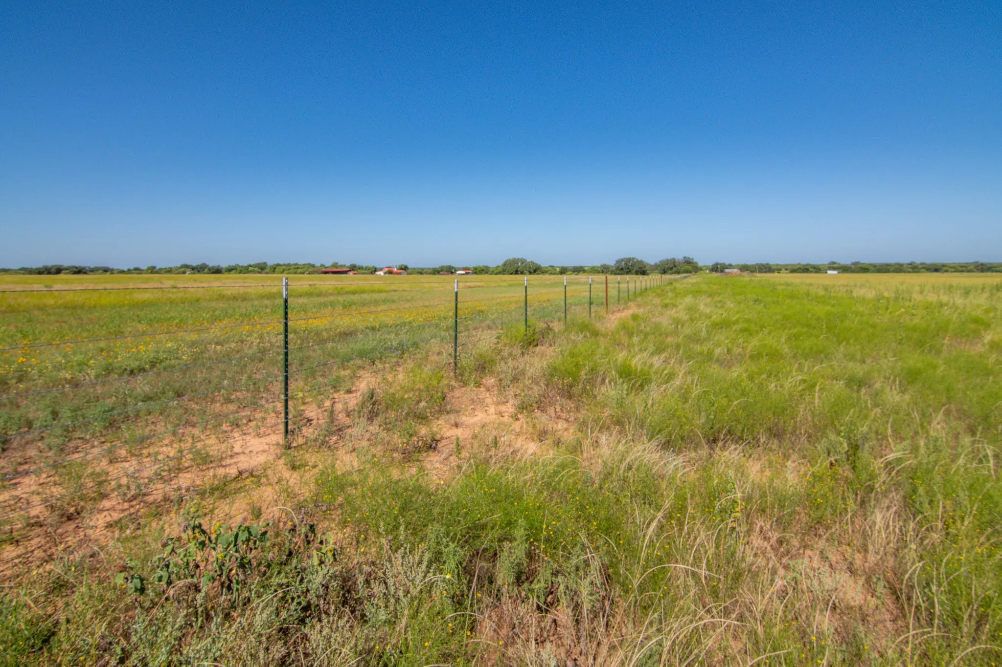 Ranch For Sale in Brown County , 6187 FM 586a S, Bangs, Texas 76823, 0, 0, Garage spaces, 0 Sqft, built in 0, mls#21343876, Real Estate Agent in Bangs, Homes For Sale in Brown county, Homes For Sale in Bangs, Realtor in Bangs Texas, Real Estate Brokerage Independent Realty Texas, Luminita Cordes Realtor