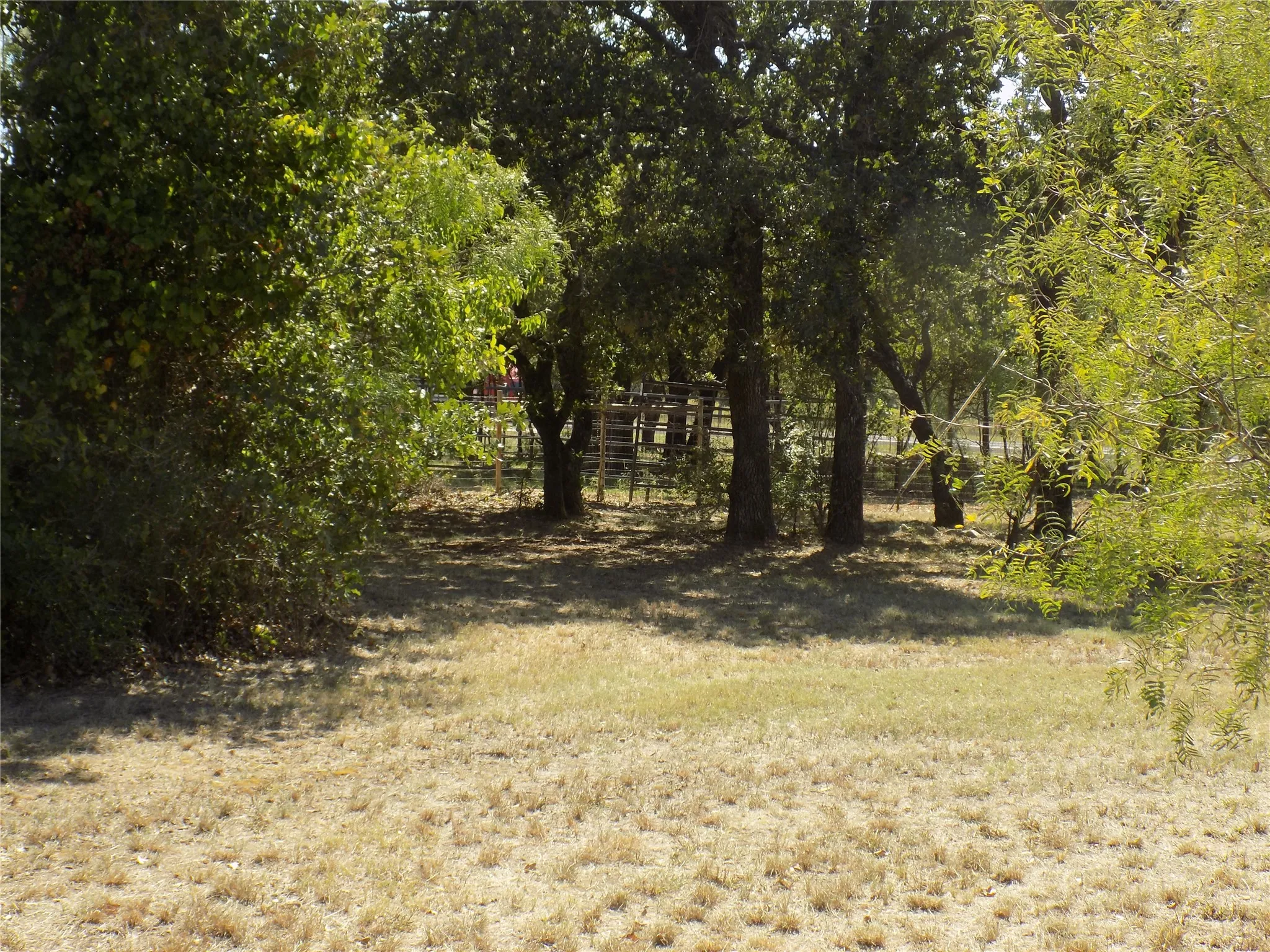 Can't get enough of the beautiful yard with well placed trees and fencing.