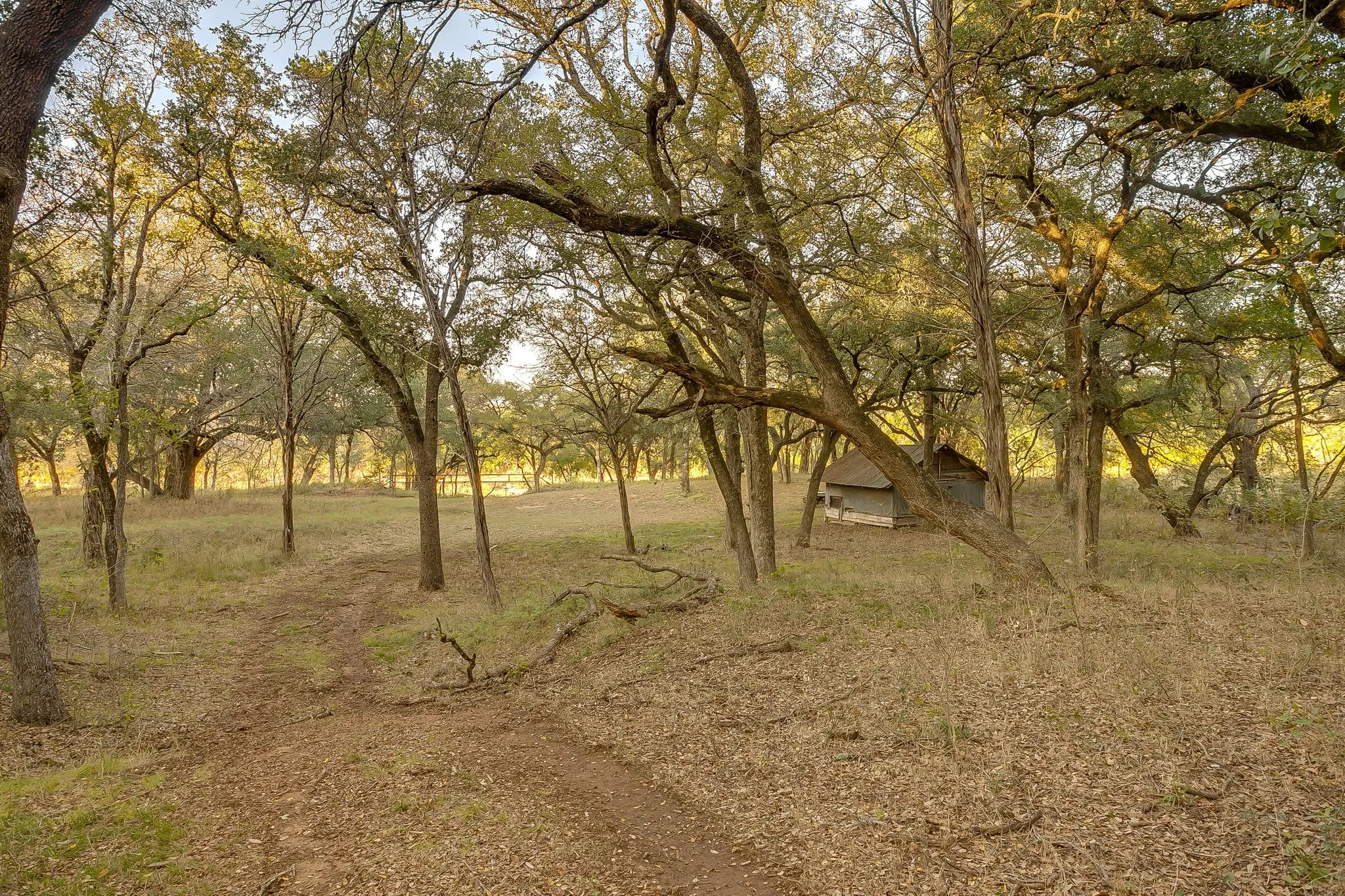 Single Family Residence For Sale in Palo Pinto County , 51 Cattle Trail Trail, Palo Pinto, Texas 76484, 0, 0, Garage spaces, 1 Sqft, built in 1900, Price $239,000, mls#21317486, Real Estate Agent in Palo Pinto, Homes For Sale in Palo Pinto county, Homes For Sale in Palo Pinto, Realtor in Palo Pinto Texas, Real Estate Brokerage Independent Realty Texas, Luminita Cordes Realtor